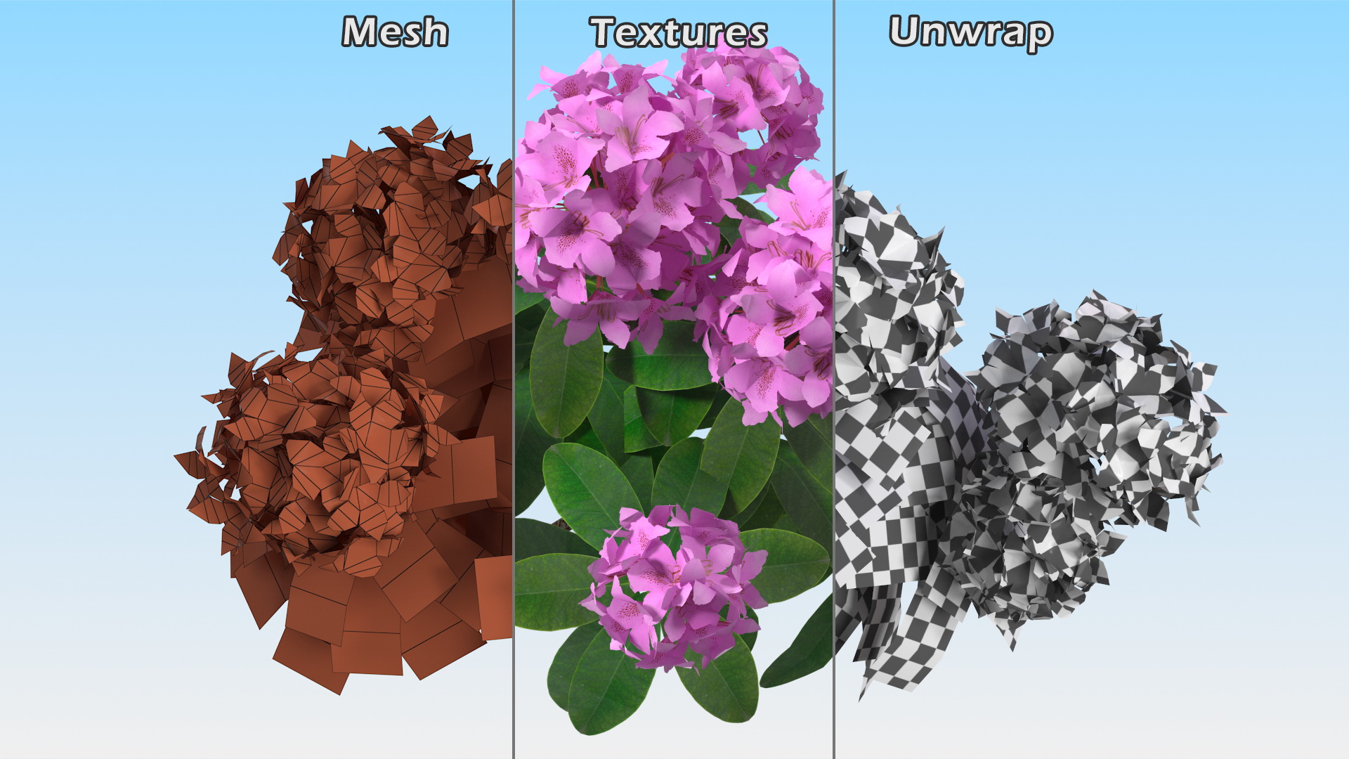3D Purple Rhododendron Branch