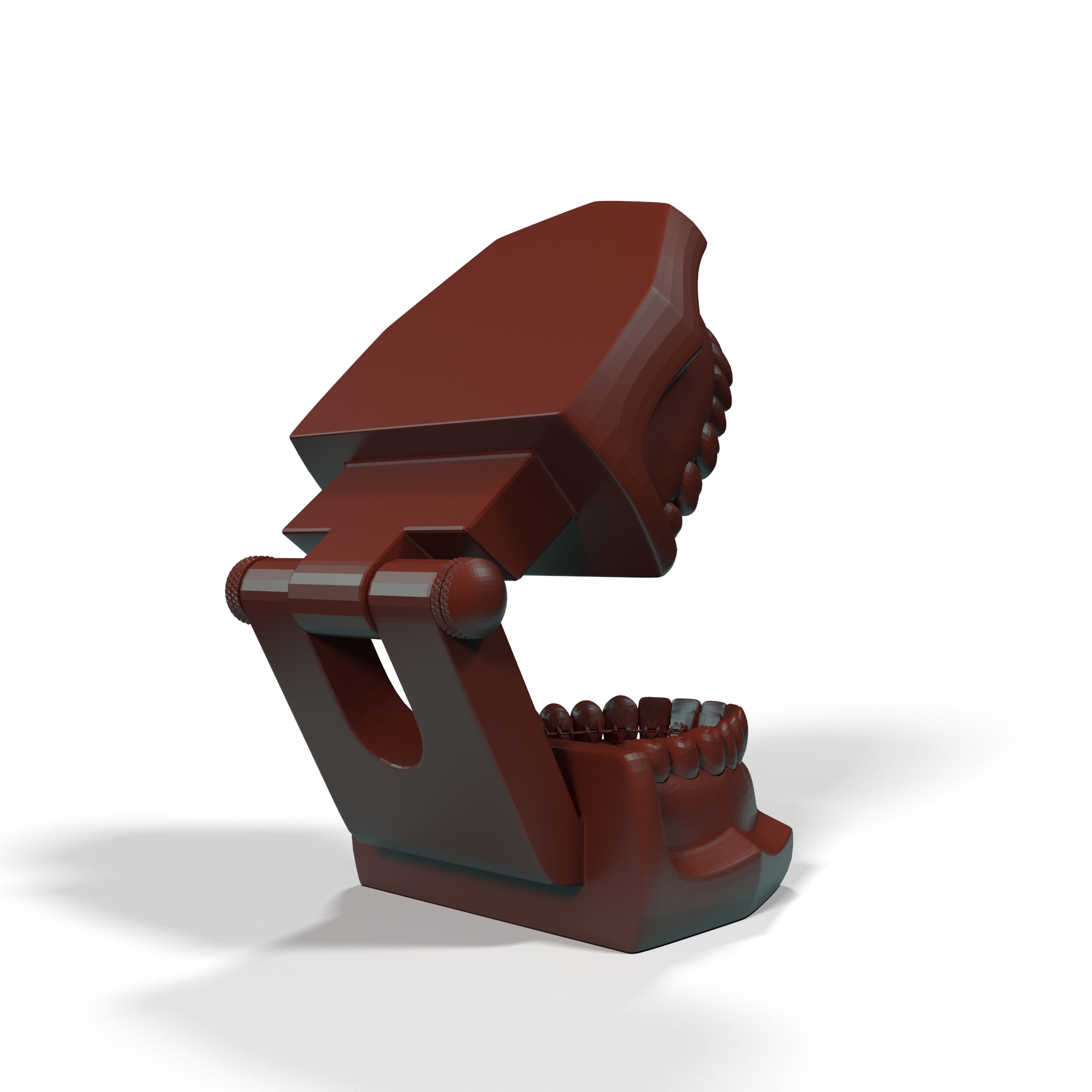 3D Lingual Braces on Typodont Teeth Model for 3D Print
