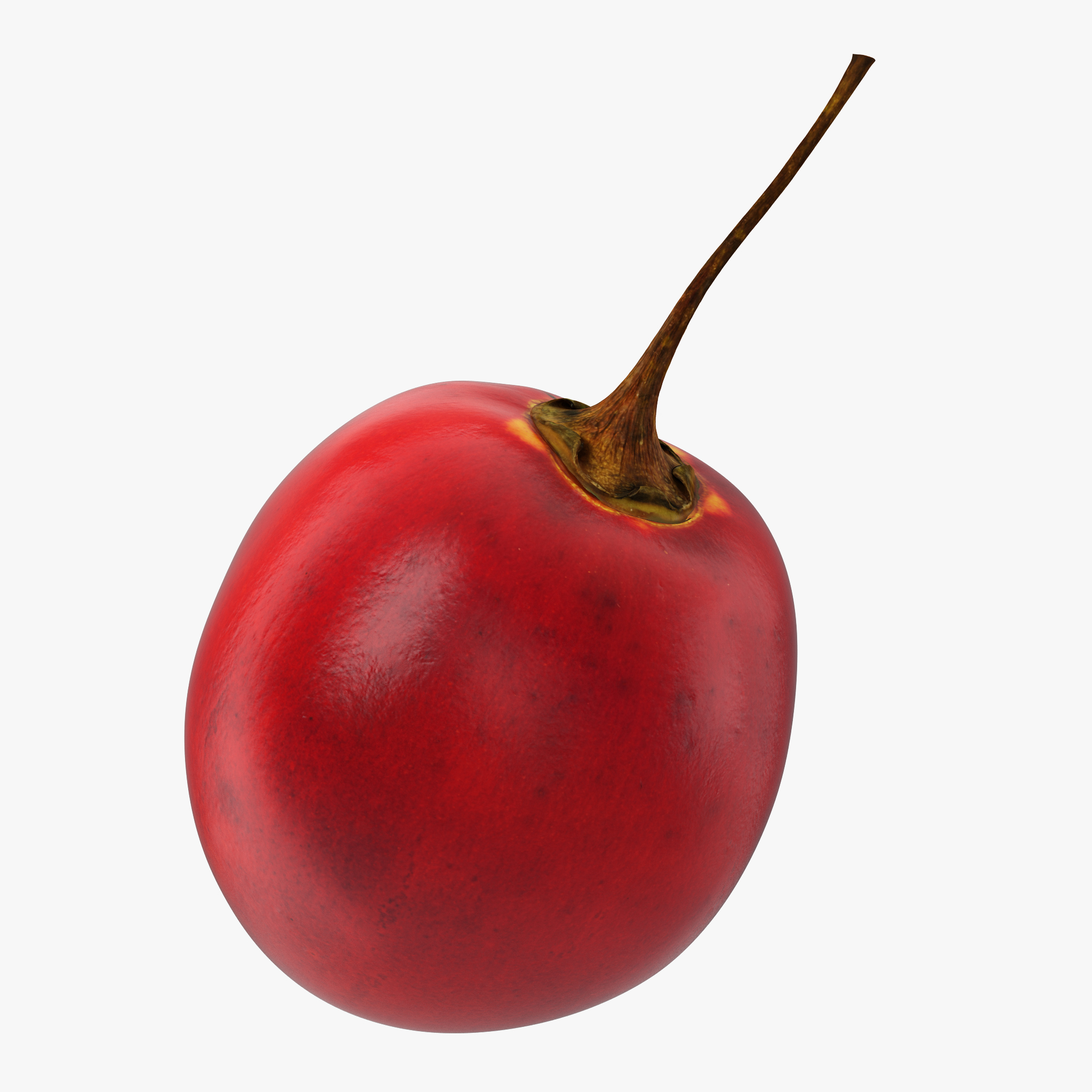 Tamarillo Special Fruit 3D Model