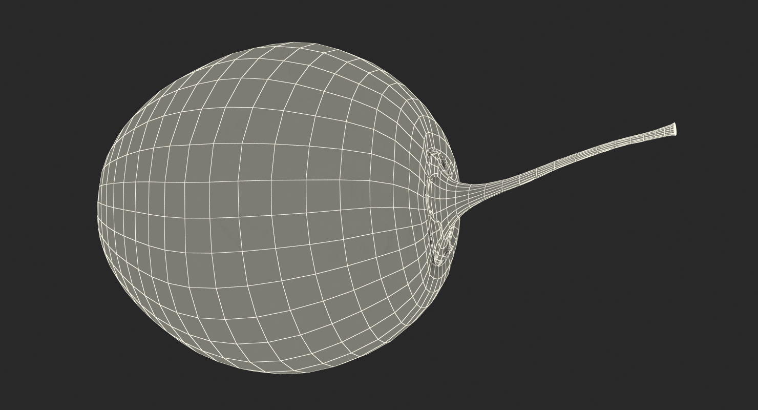 3D Tamarillo Special Fruit model