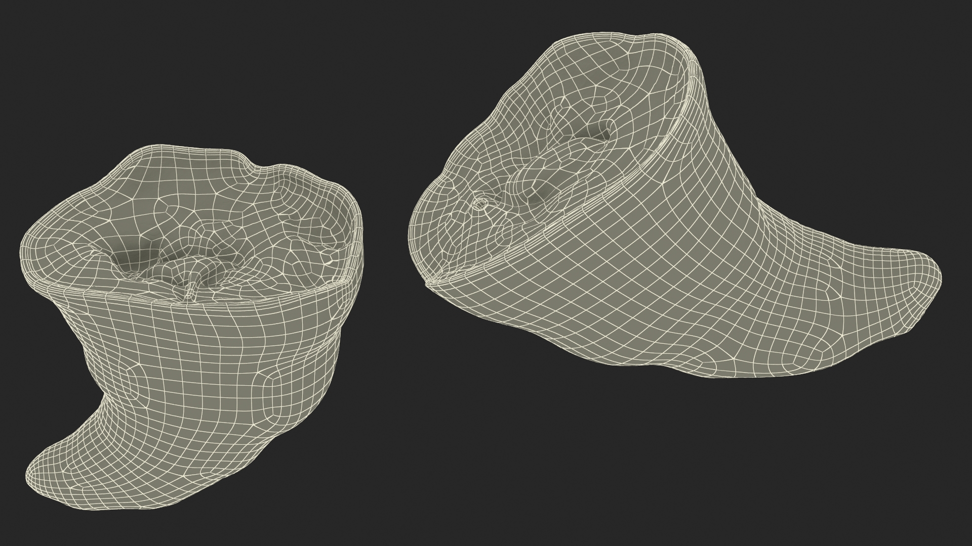 3D Croissant Halves