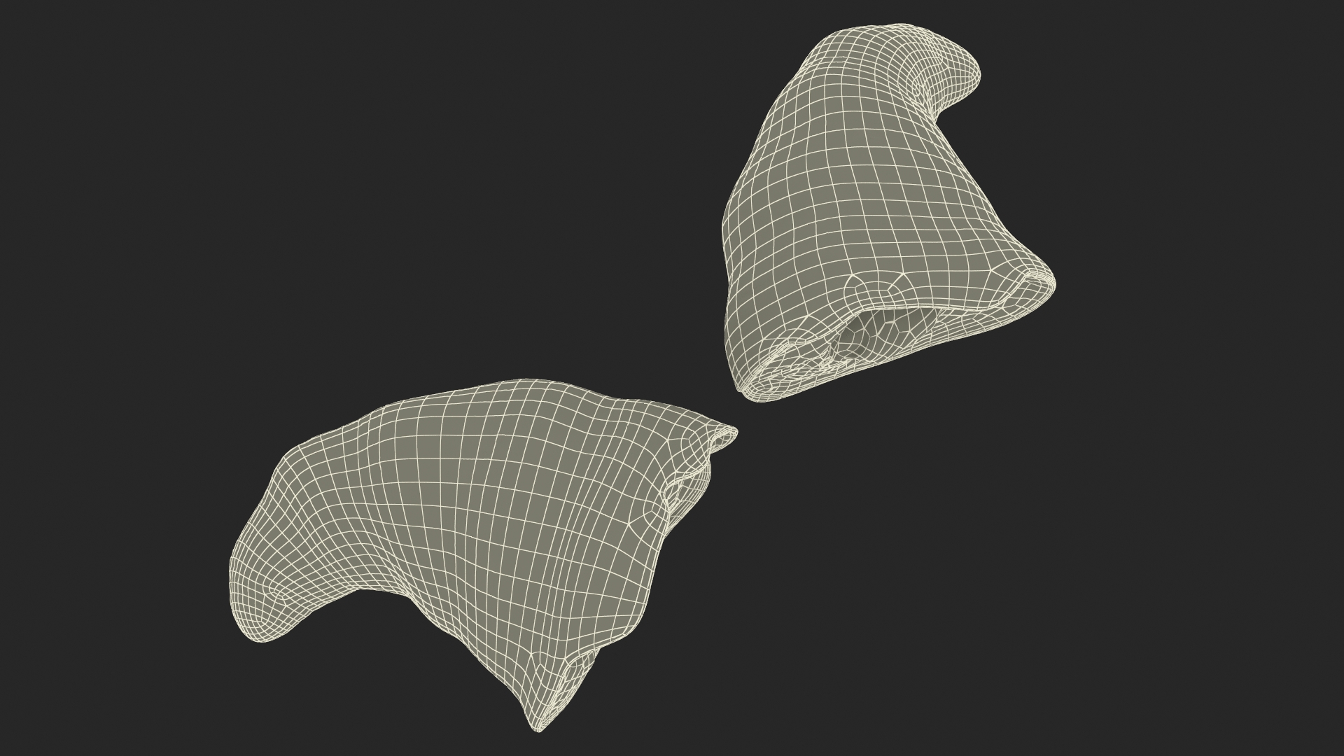 3D Croissant Halves