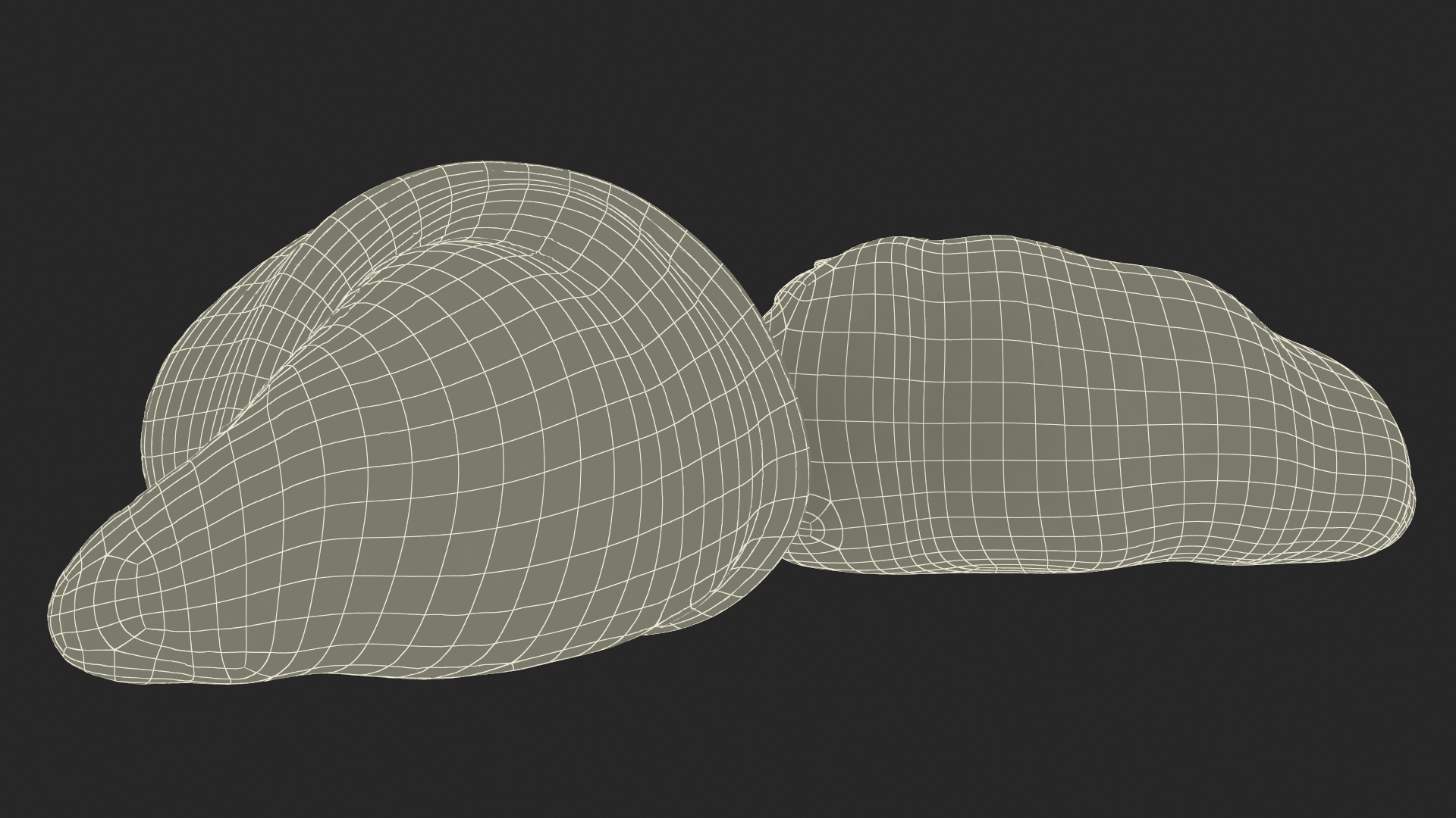 3D Croissant Halves