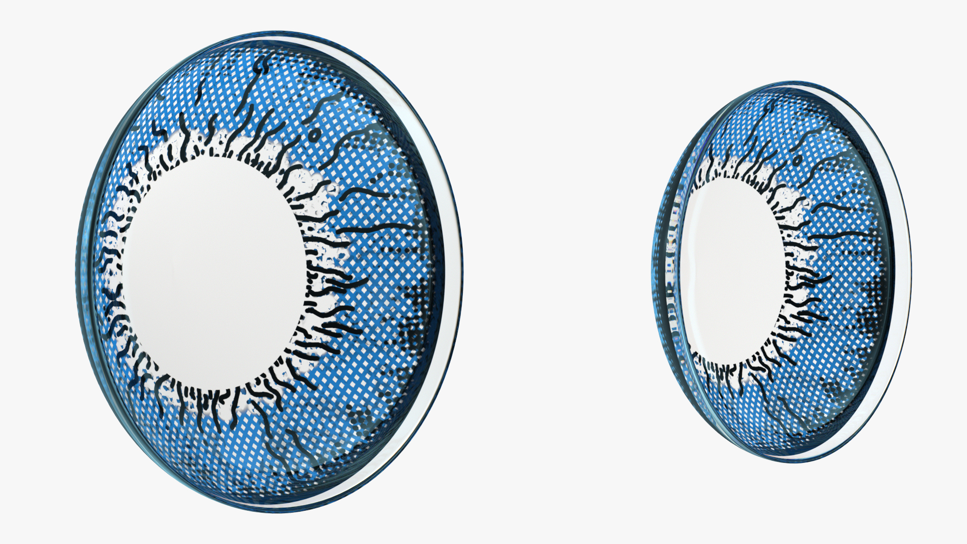 3D Coloured Contact Lenses Blue model