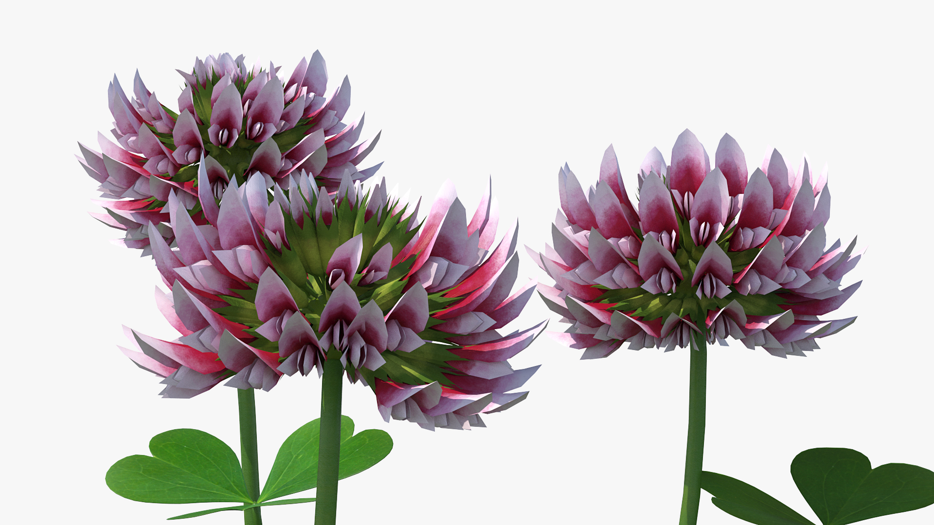 3D model Blooming Red Clover Field
