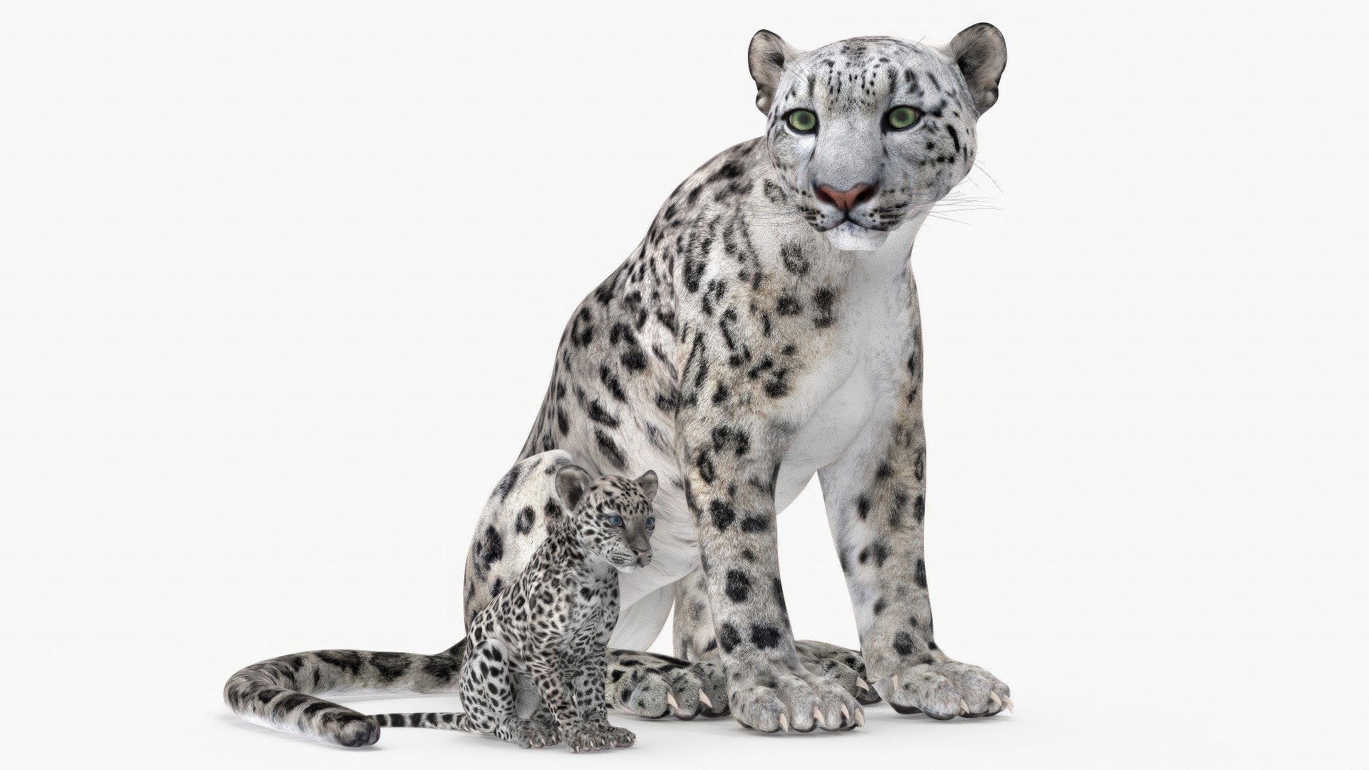 3D Mother and Baby Snow Leopard model