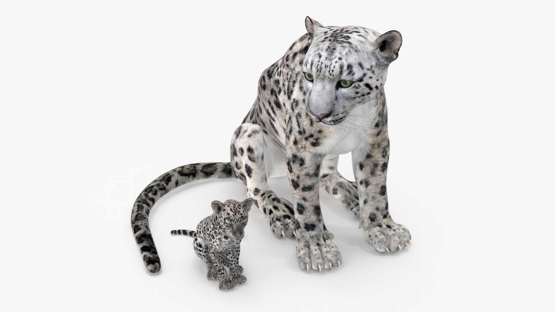 3D Mother and Baby Snow Leopard model