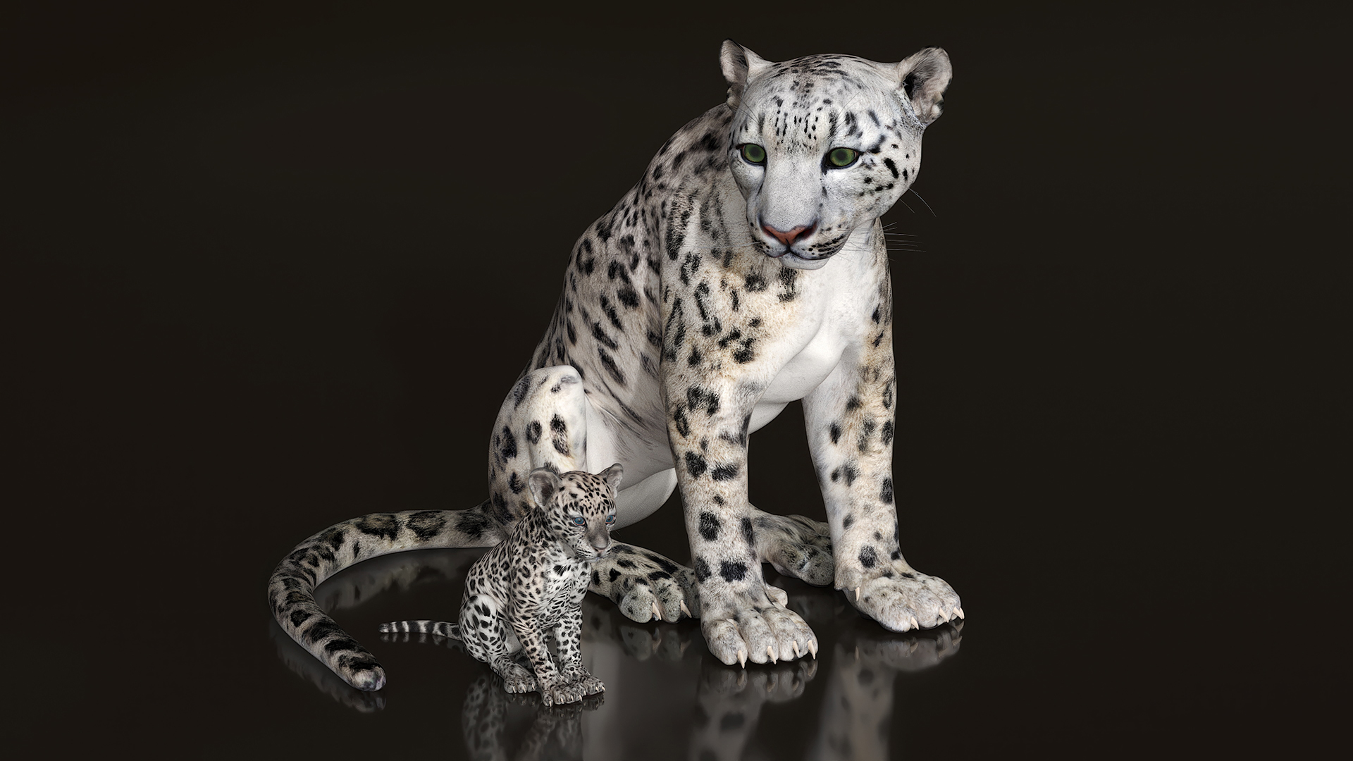 3D Mother and Baby Snow Leopard model