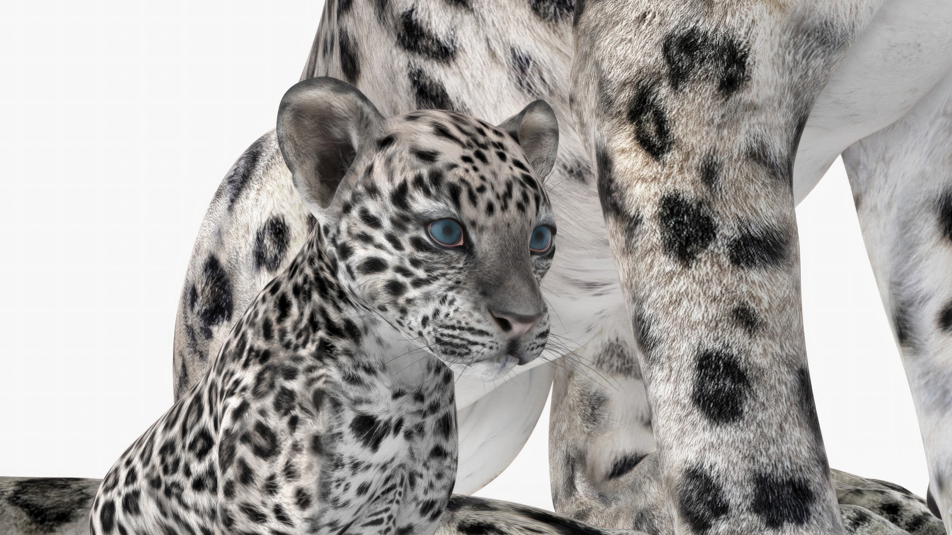 3D Mother and Baby Snow Leopard model