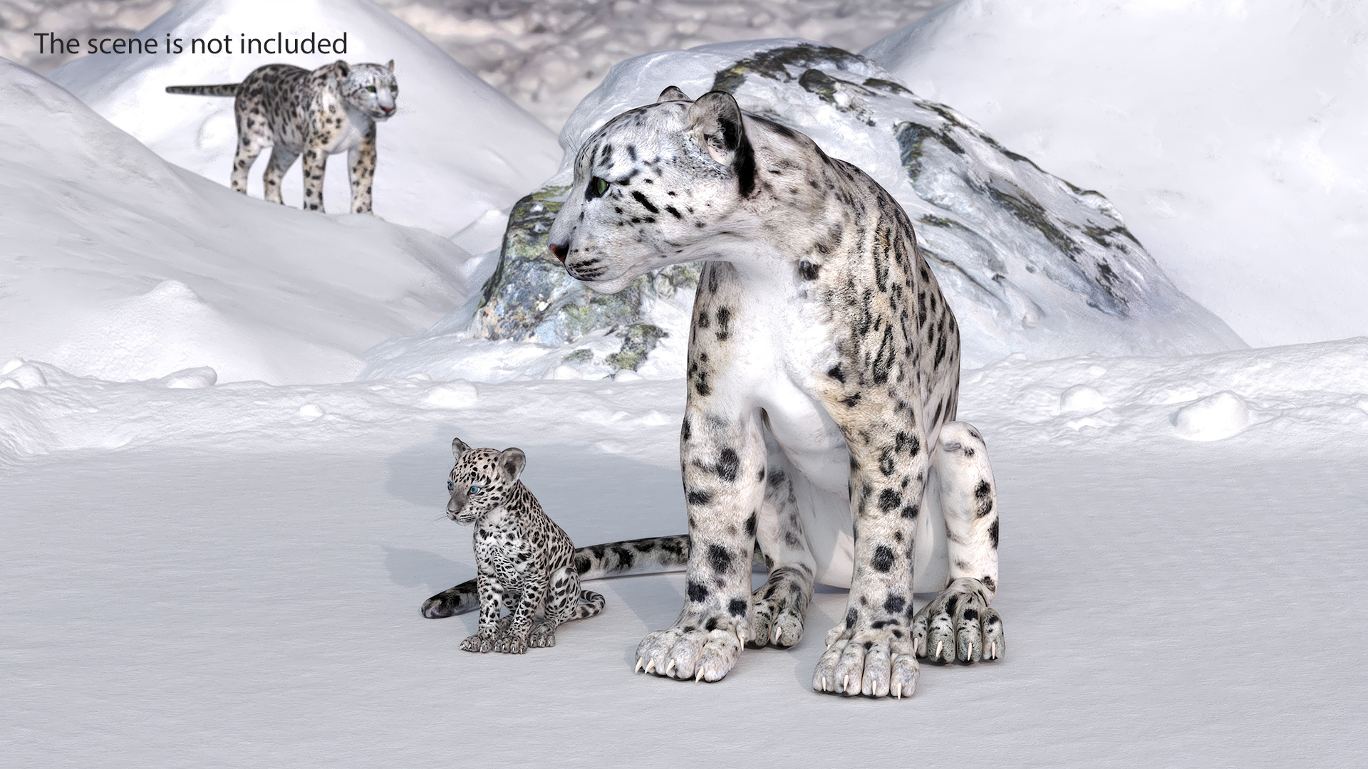 3D Mother and Baby Snow Leopard model