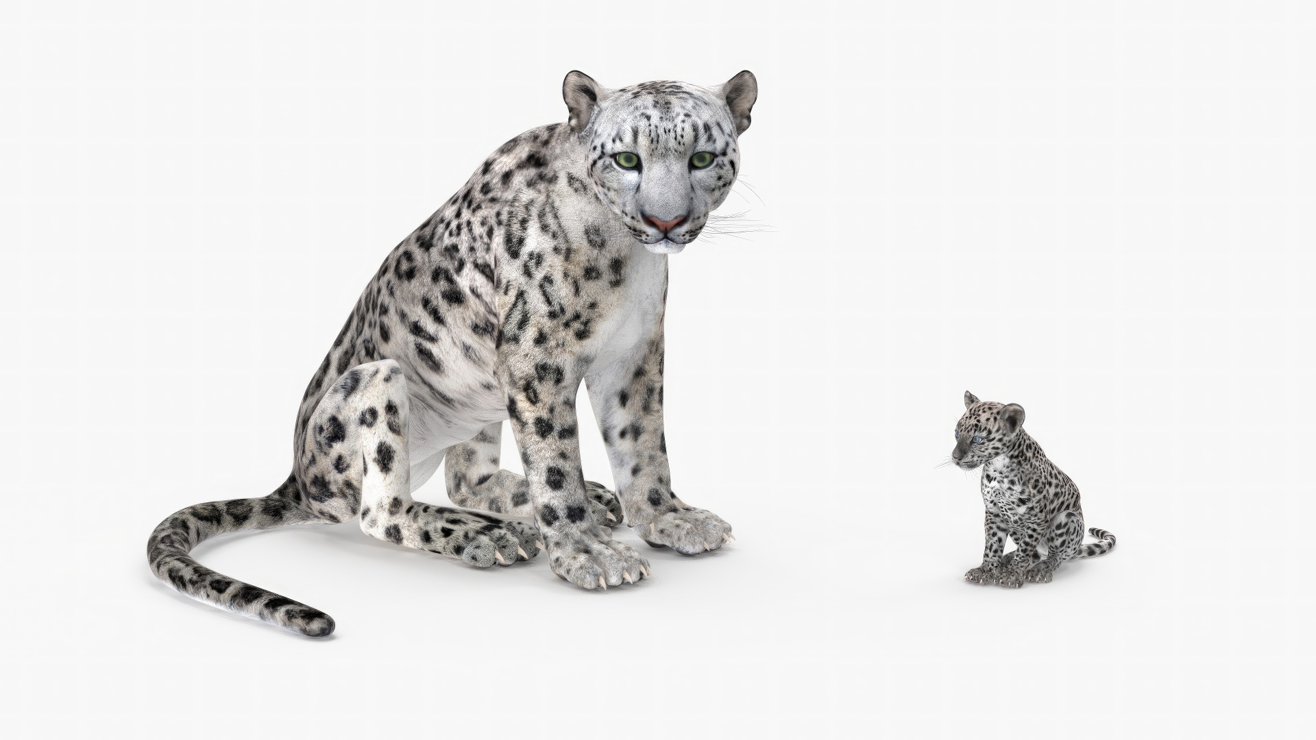 3D Mother and Baby Snow Leopard model