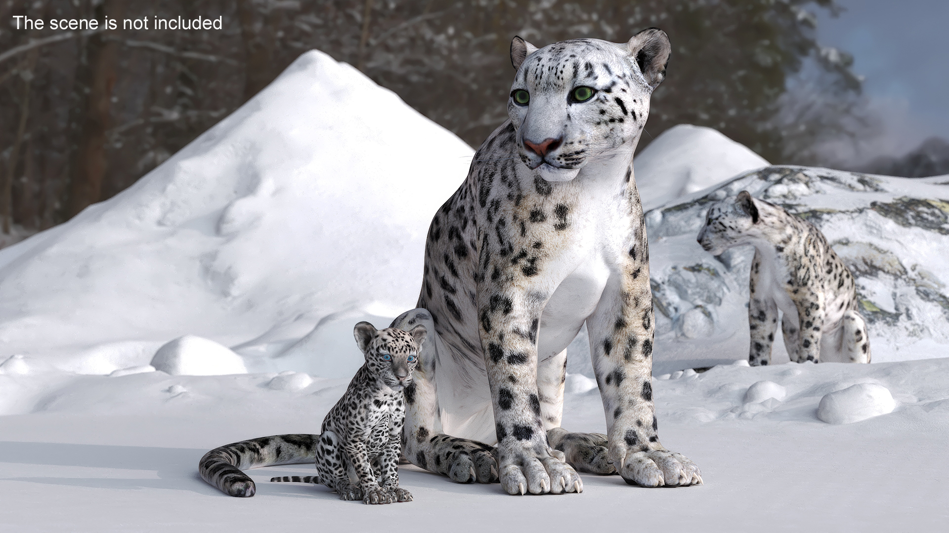 3D Mother and Baby Snow Leopard model