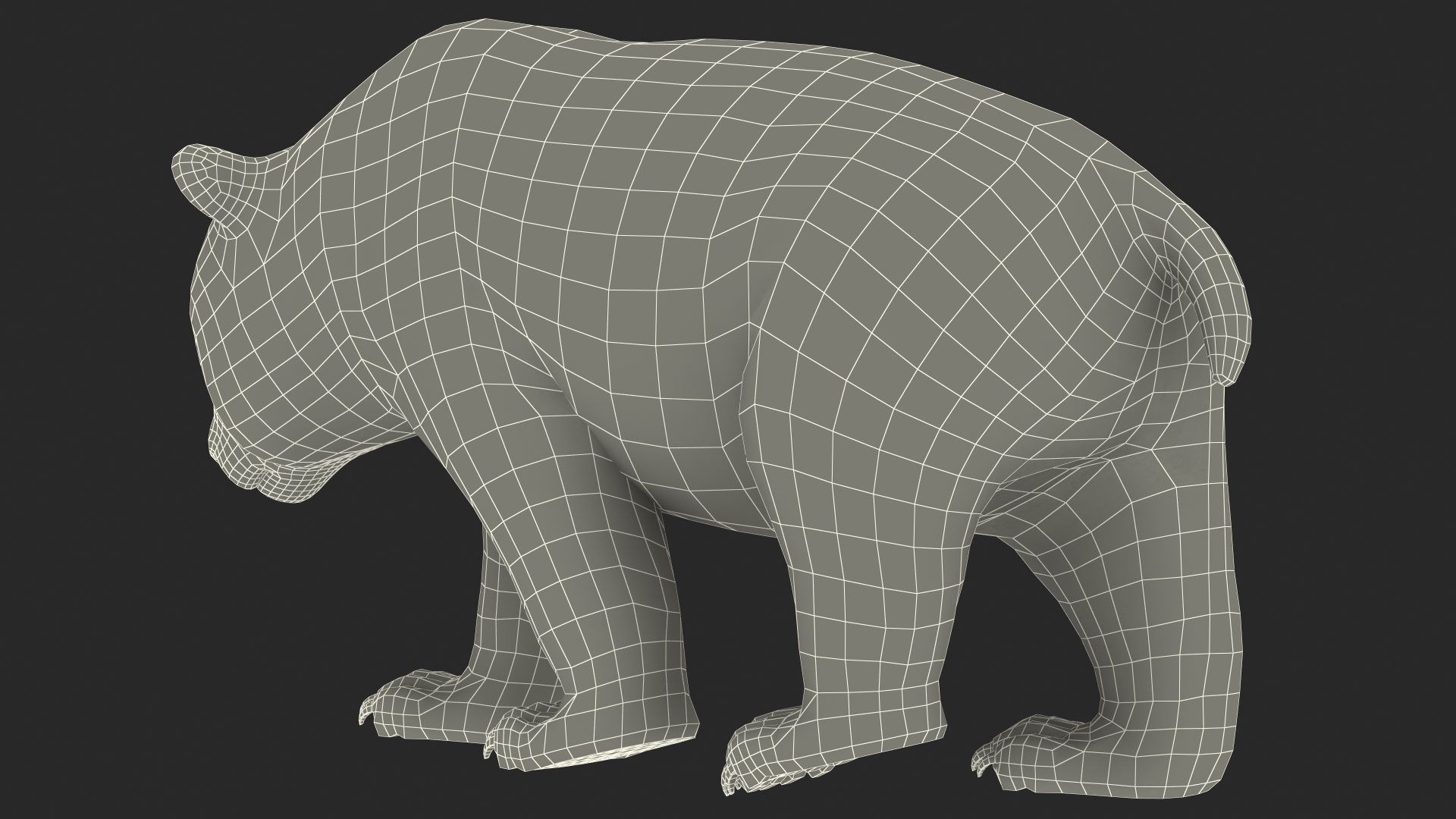 Giant Panda Walking Pose 3D model