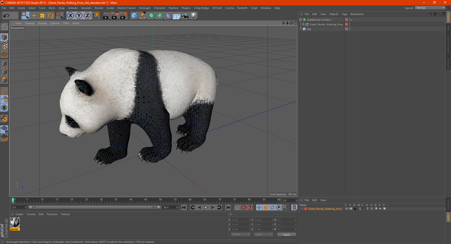 Giant Panda Walking Pose 3D model