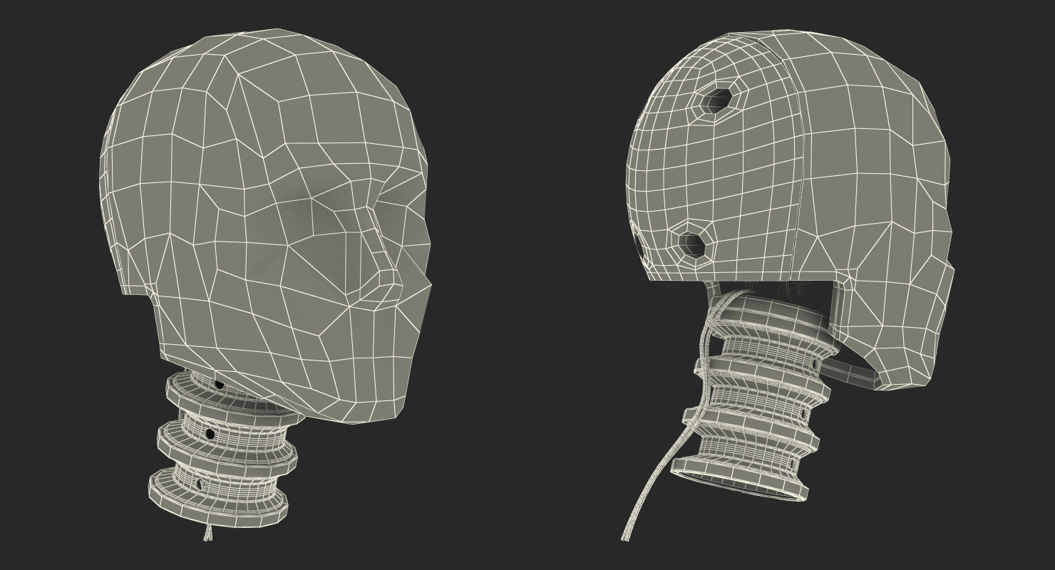 3D Crash Test Dummy Head