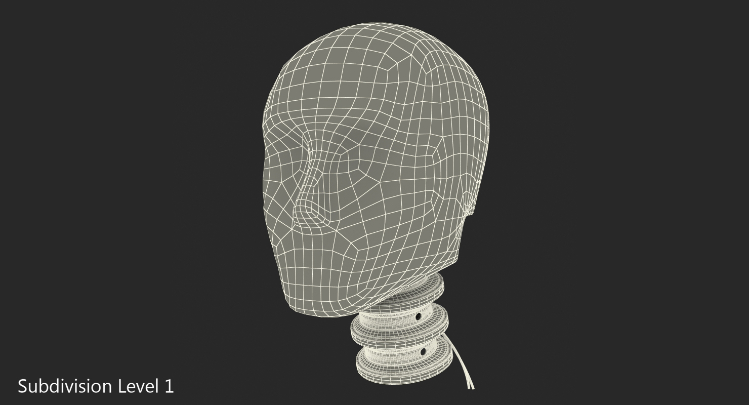 3D Crash Test Dummy Head