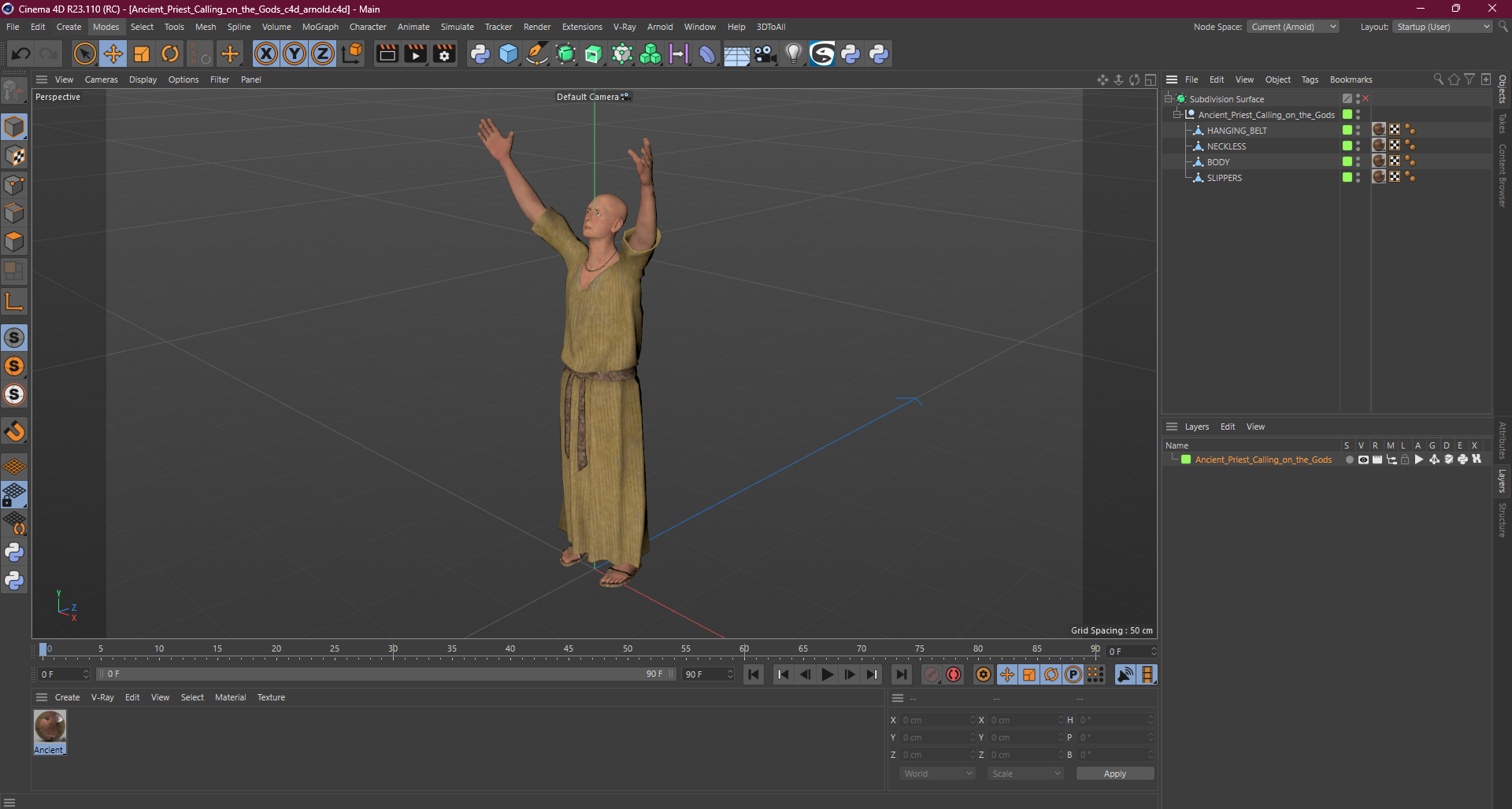 Ancient Priest Calling on the Gods 3D model