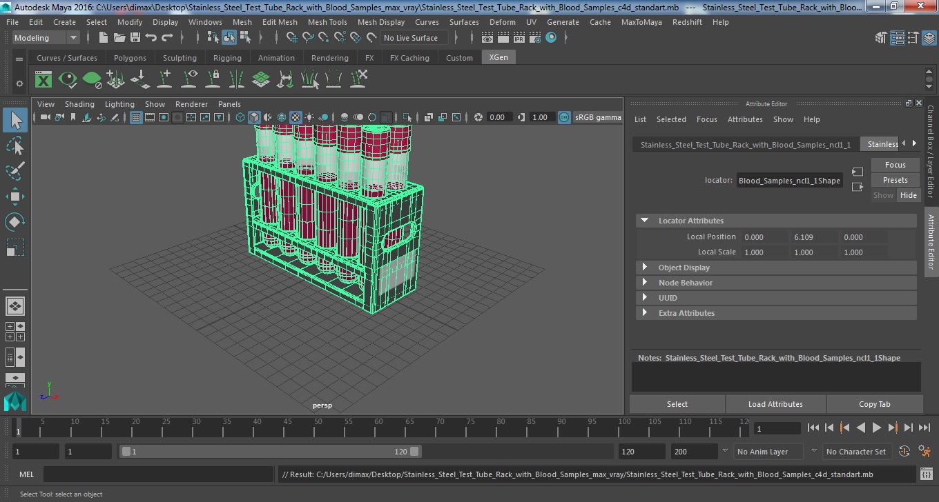 Stainless Steel Test Tube Rack with Blood Samples 3D model