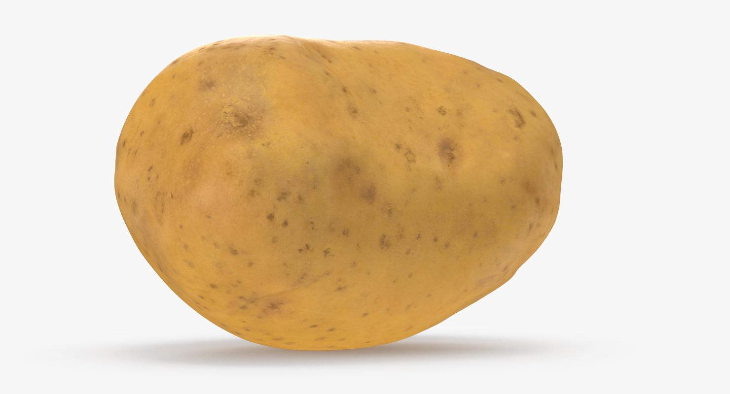 3D model Potato