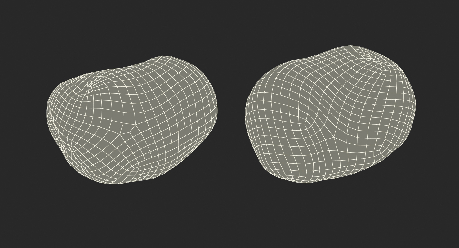 3D model Potato