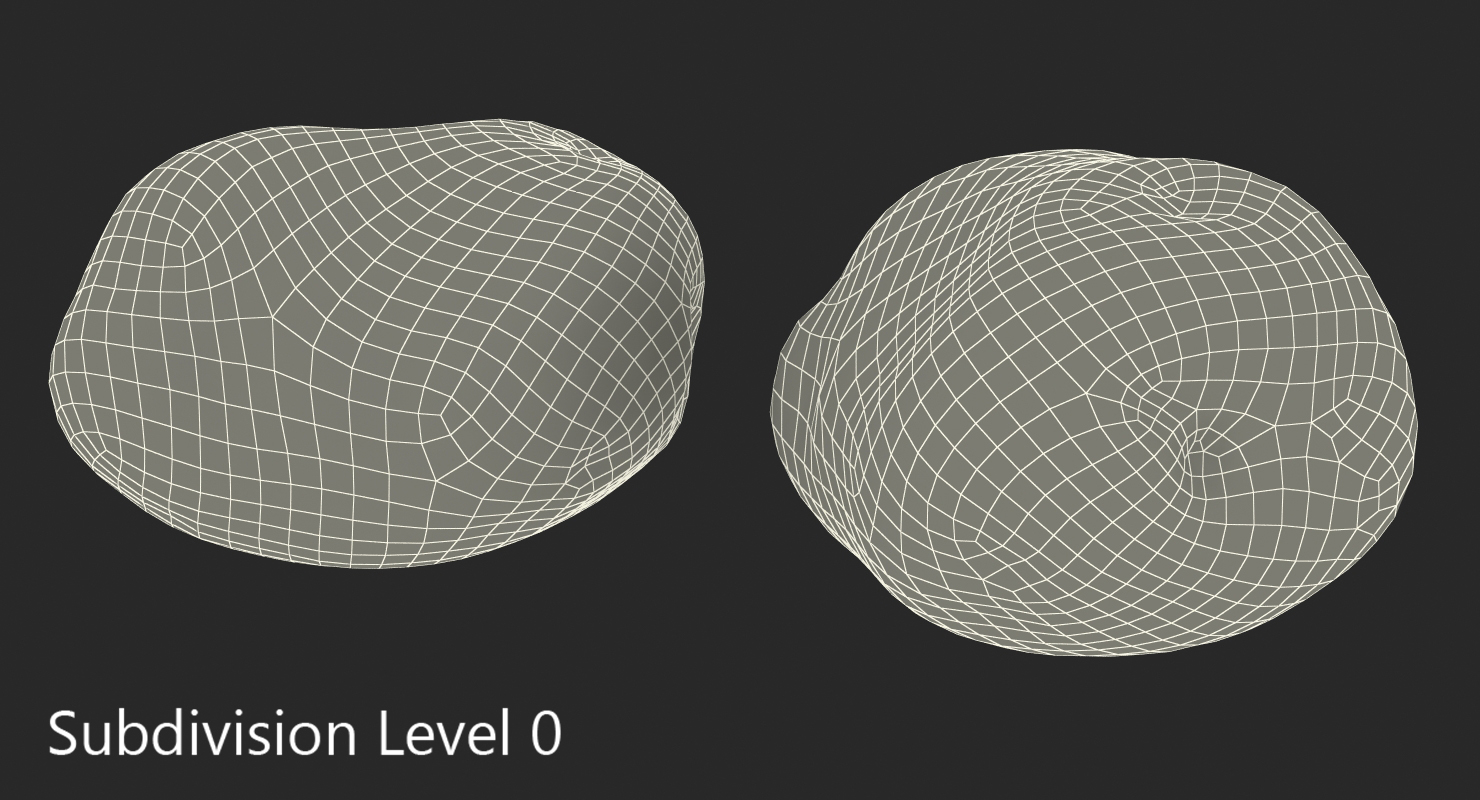 3D model Potato