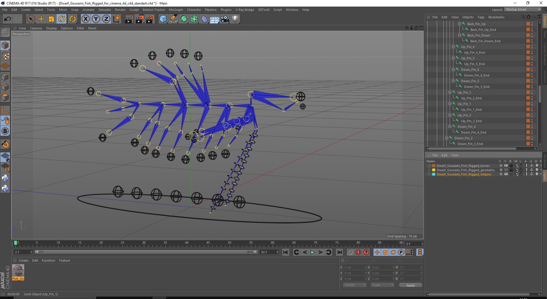 Dwarf Gourami Fish Rigged for Cinema 4D 3D model