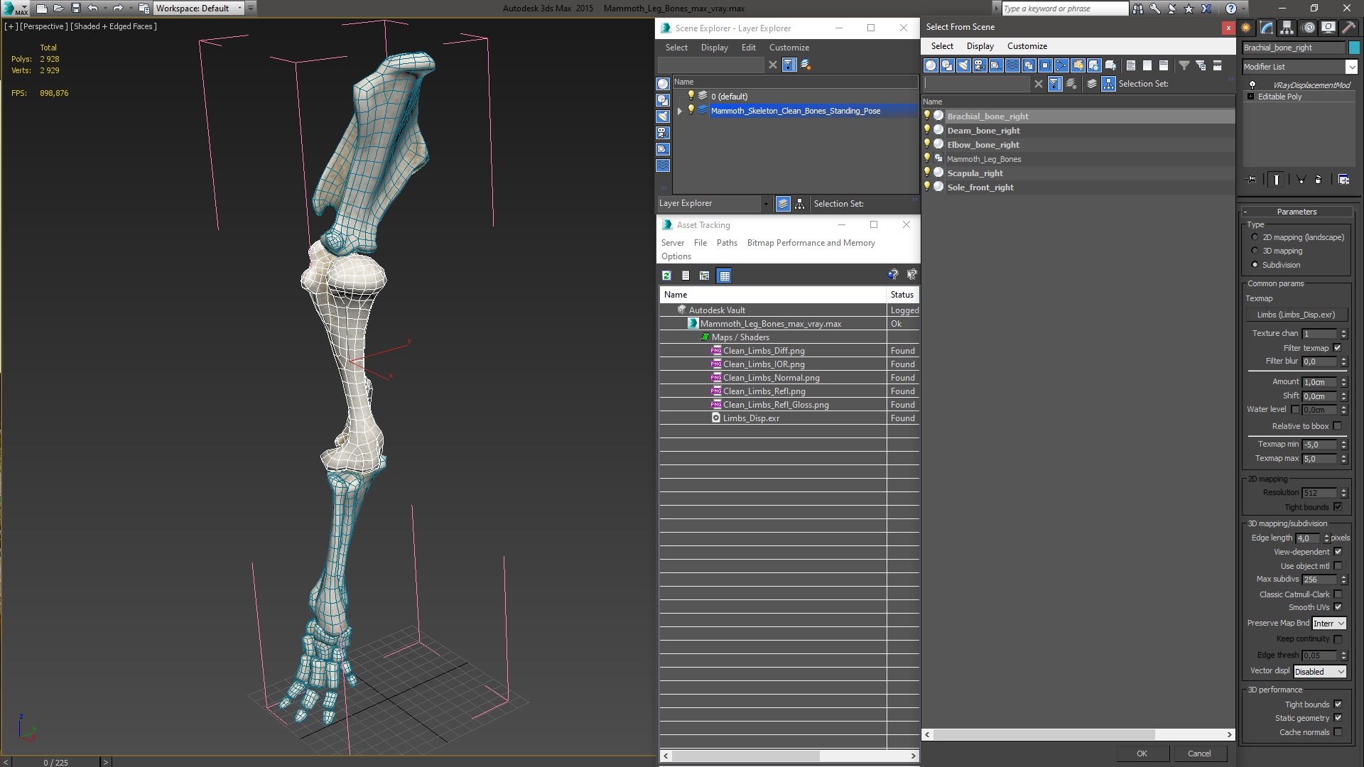 Mammoth Leg Bones 3D