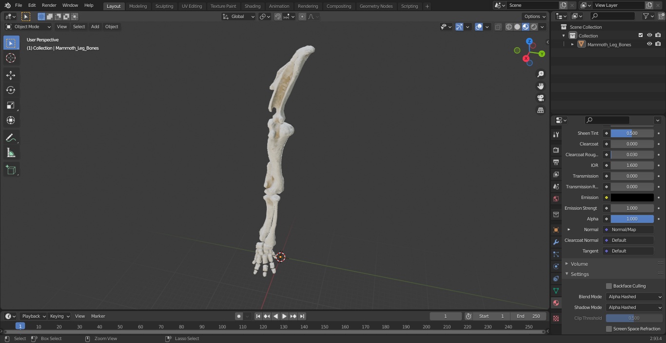 Mammoth Leg Bones 3D