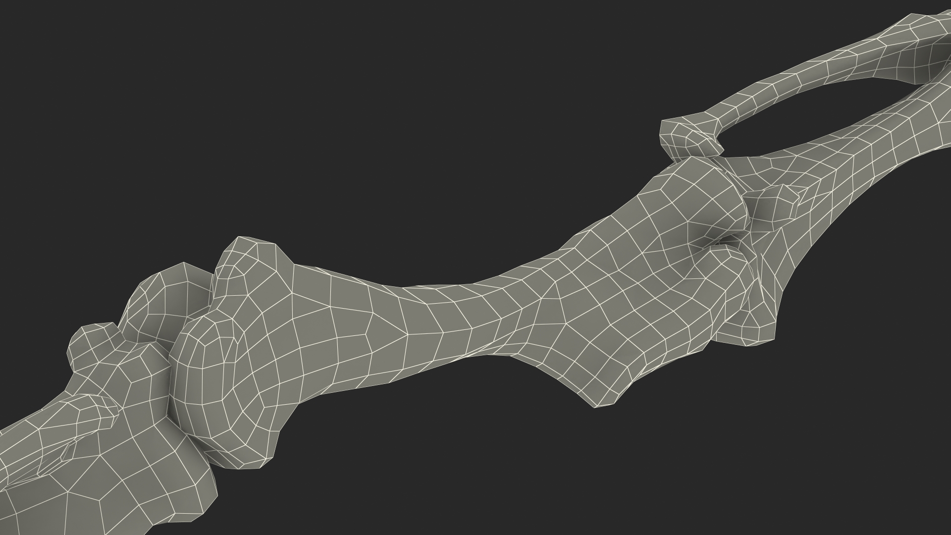 Mammoth Leg Bones 3D