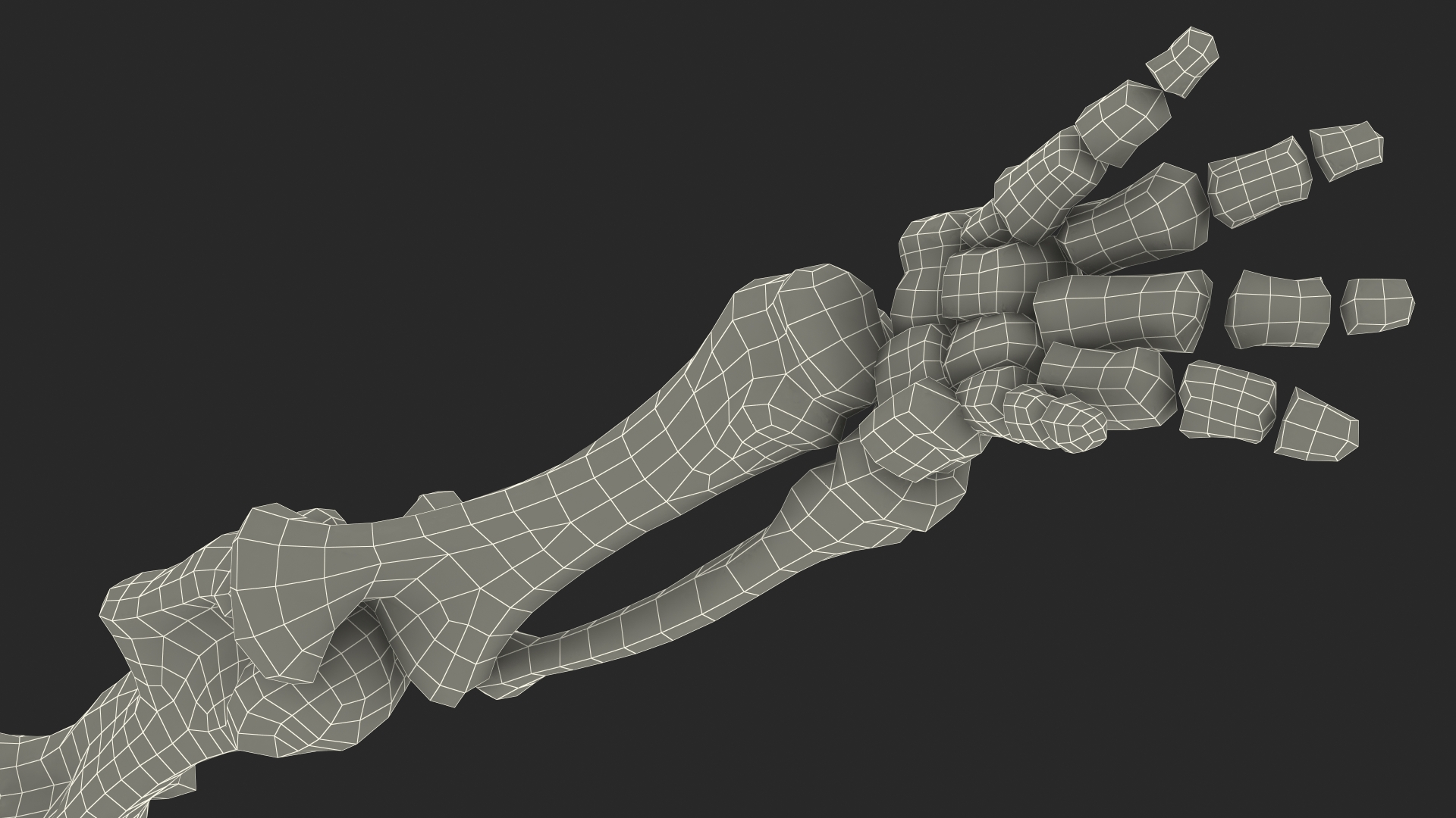 Mammoth Leg Bones 3D