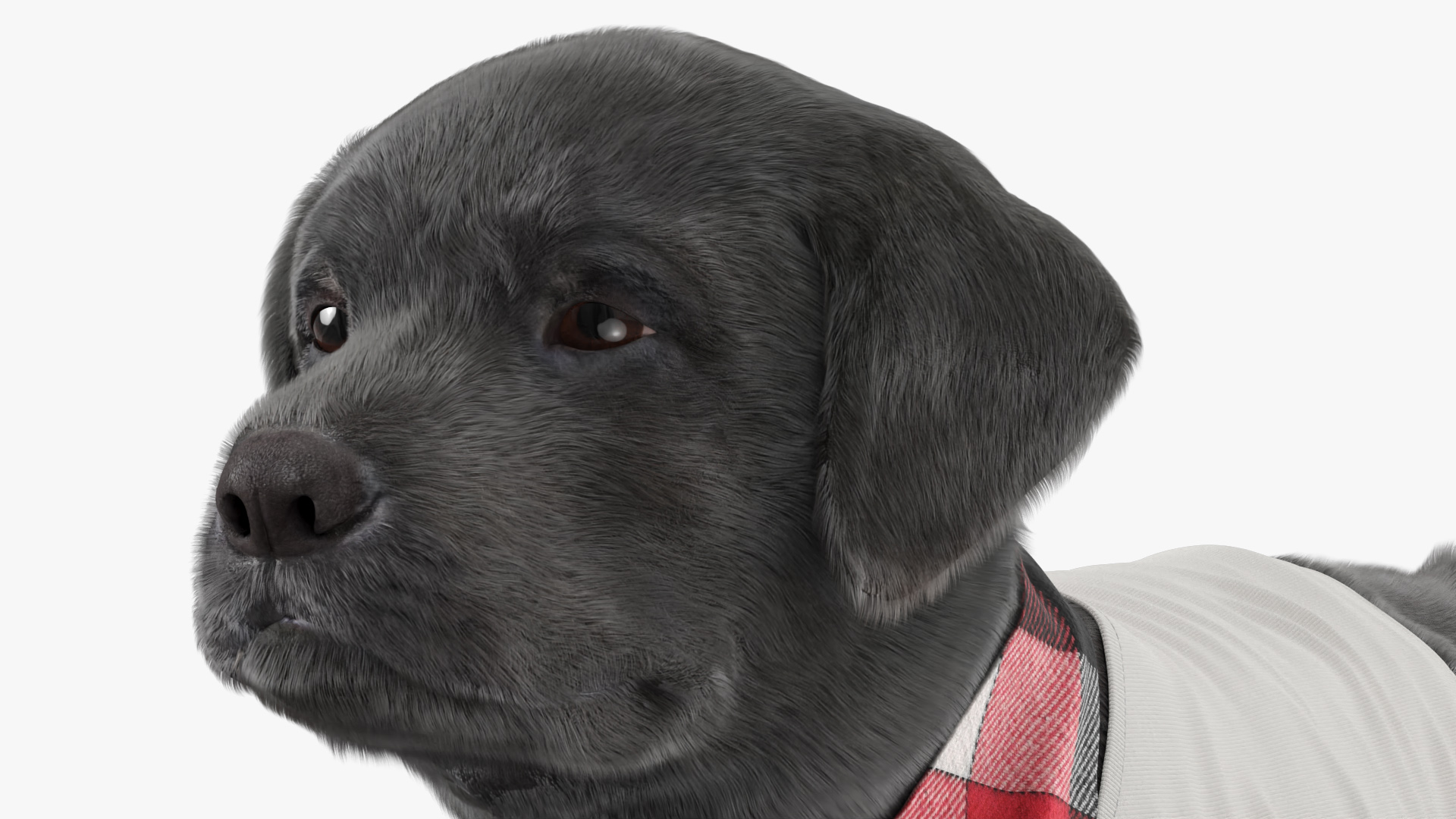 Dog Outfit with Plaid Bandana Fur, view 5