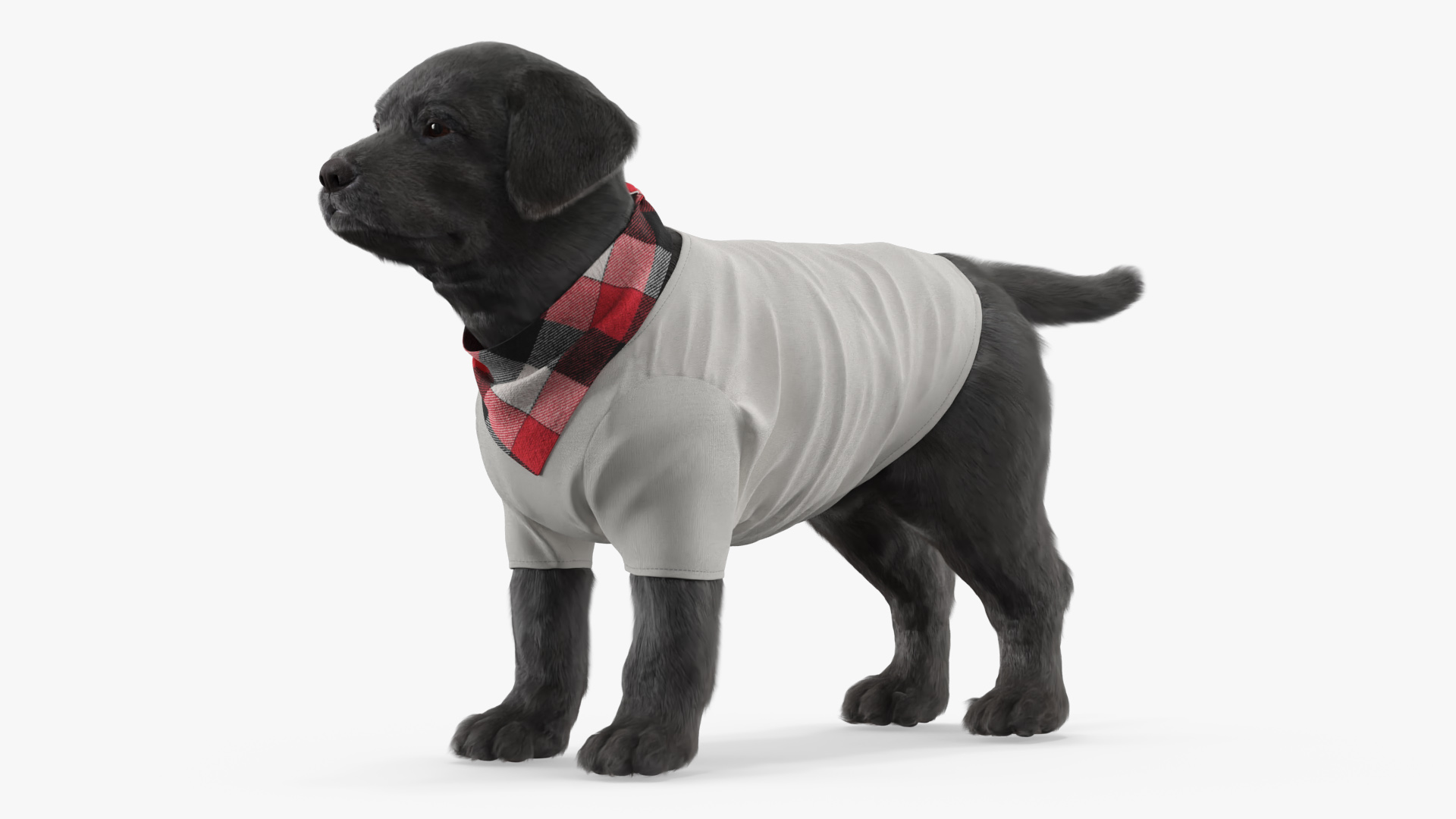 Dog Outfit with Plaid Bandana Fur