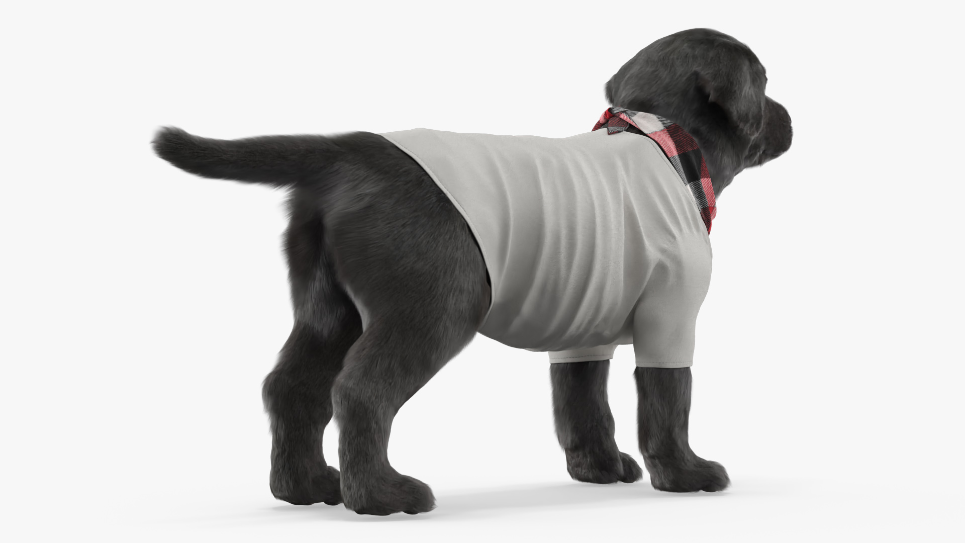 Dog Outfit with Plaid Bandana Fur, view 3