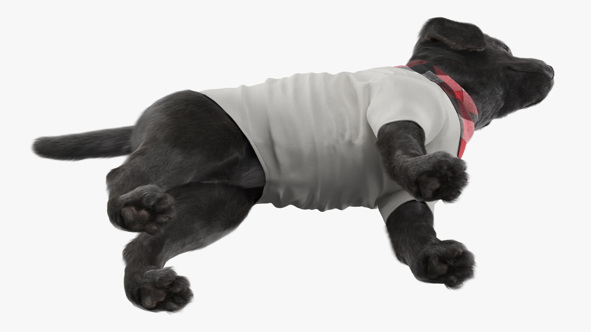 Dog Outfit with Plaid Bandana Fur, view 4