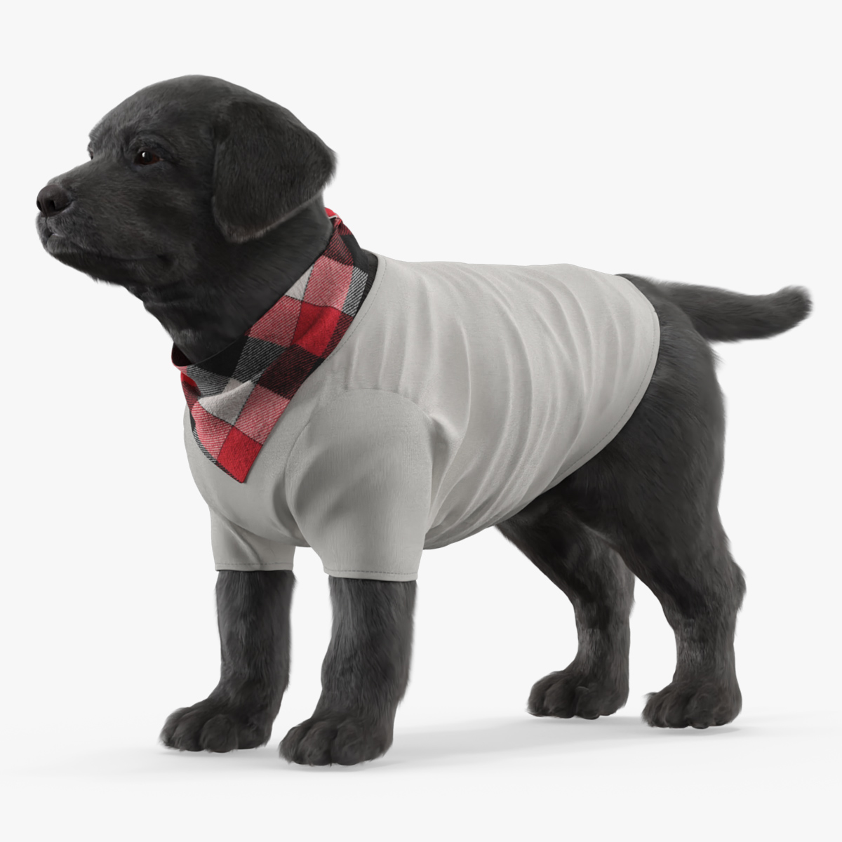 Dog Outfit with Plaid Bandana Fur 3D model preview