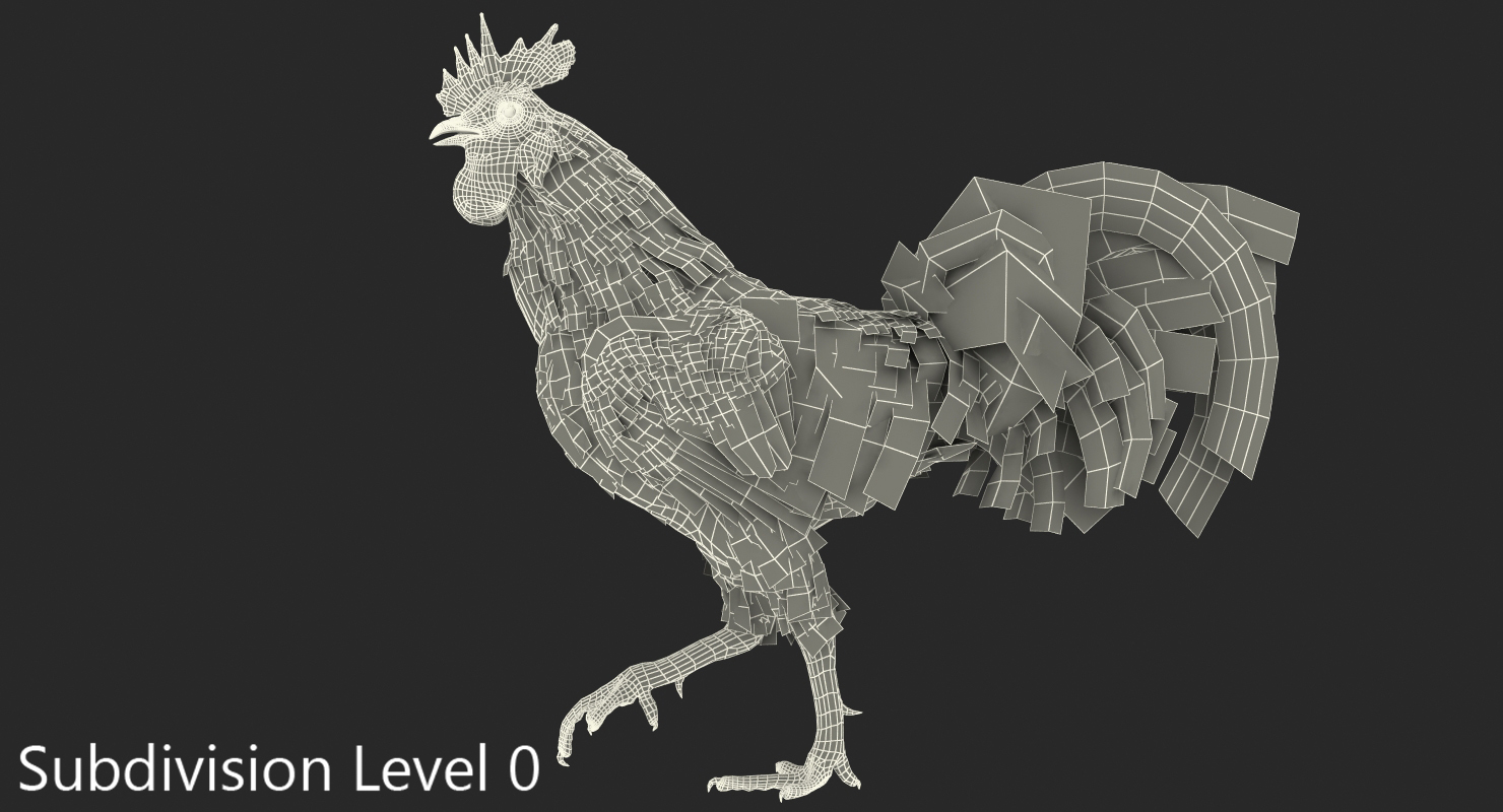 3D model Rooster Walking