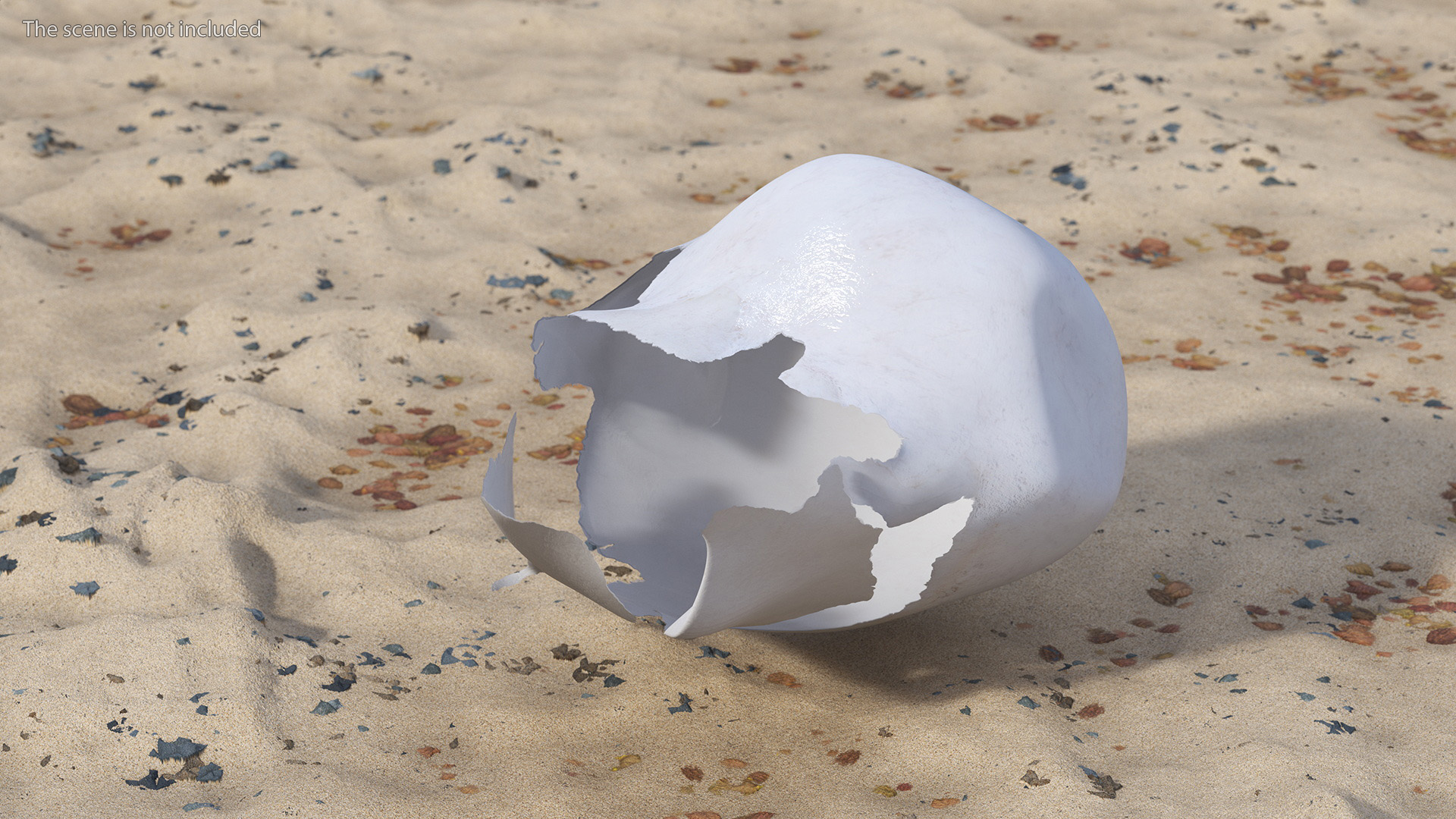 Baby Sea Turtle Hatching 3D model