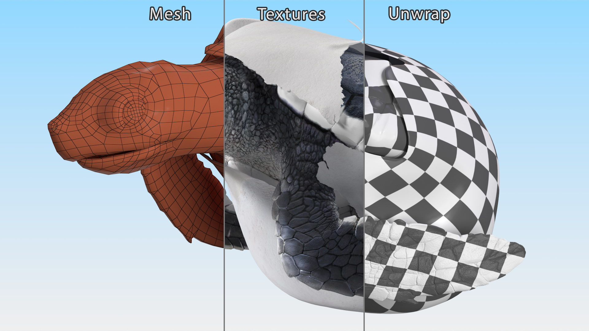 Baby Sea Turtle Hatching 3D model