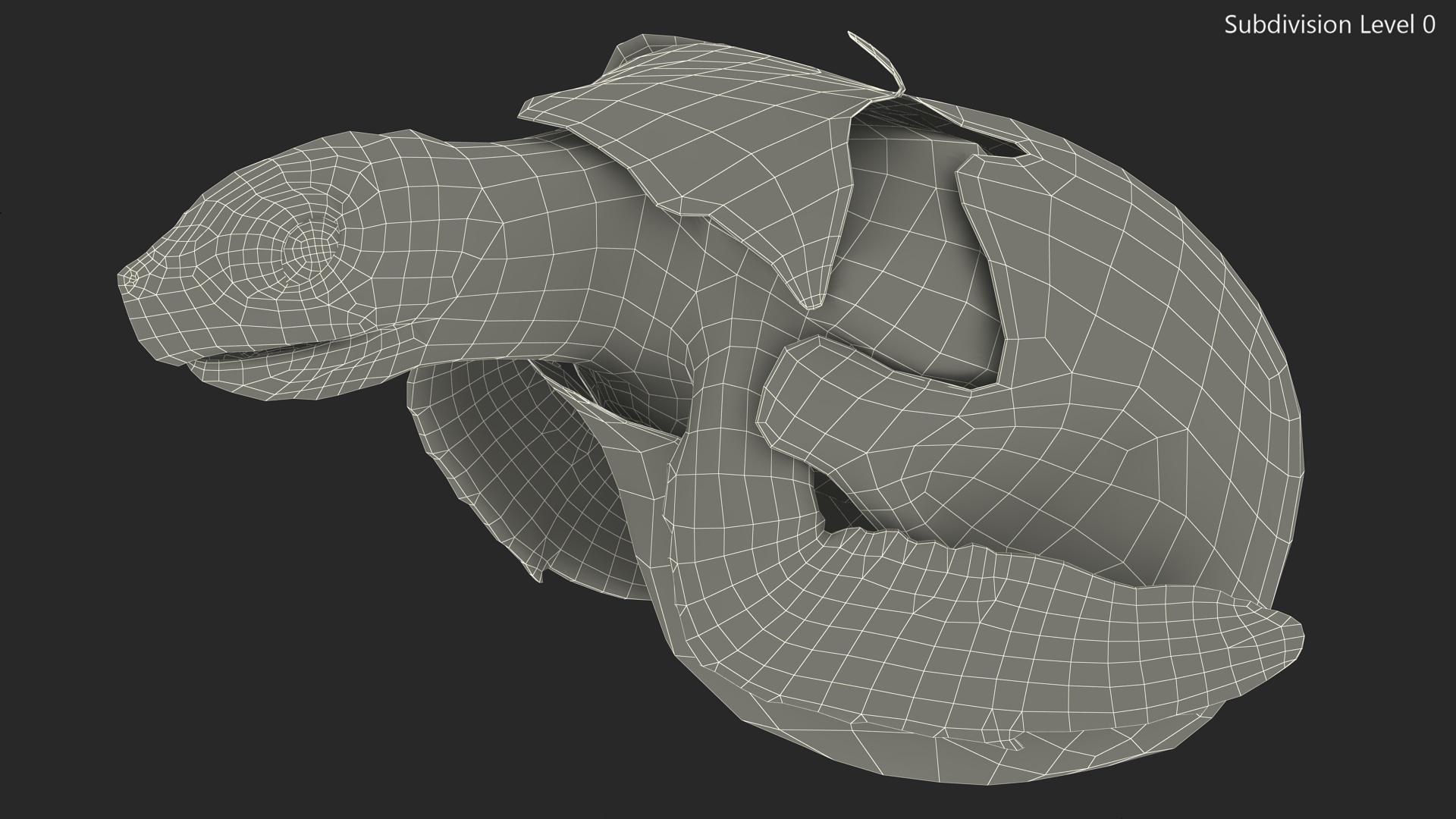 Baby Sea Turtle Hatching 3D model