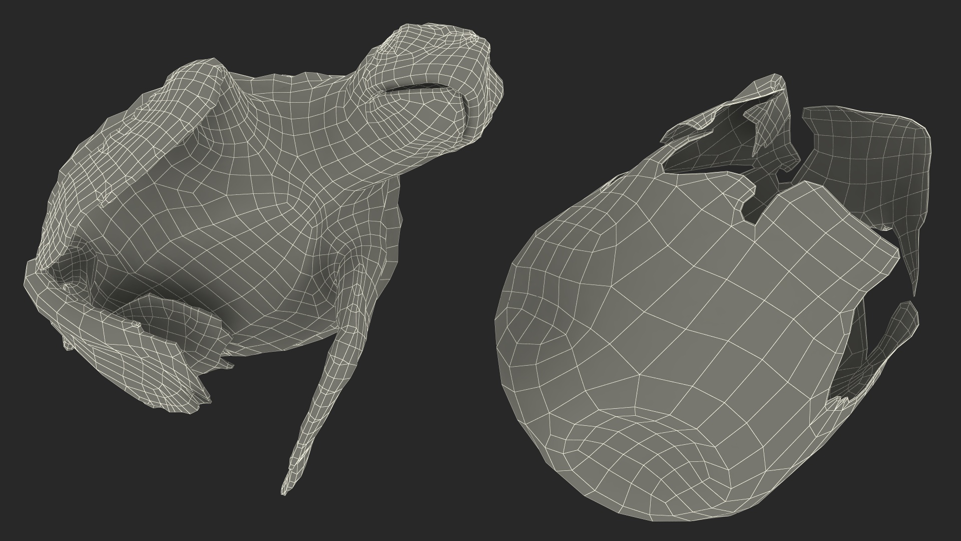 Baby Sea Turtle Hatching 3D model