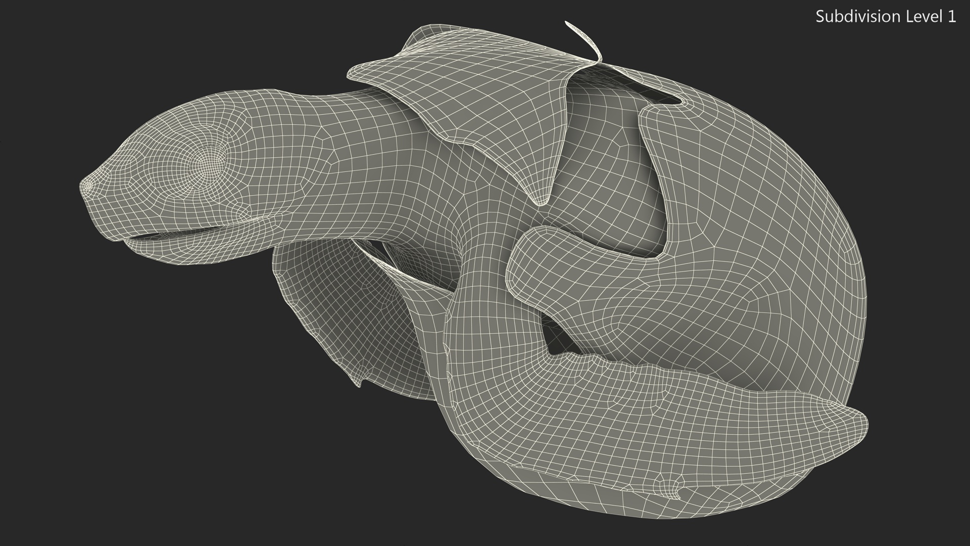Baby Sea Turtle Hatching 3D model