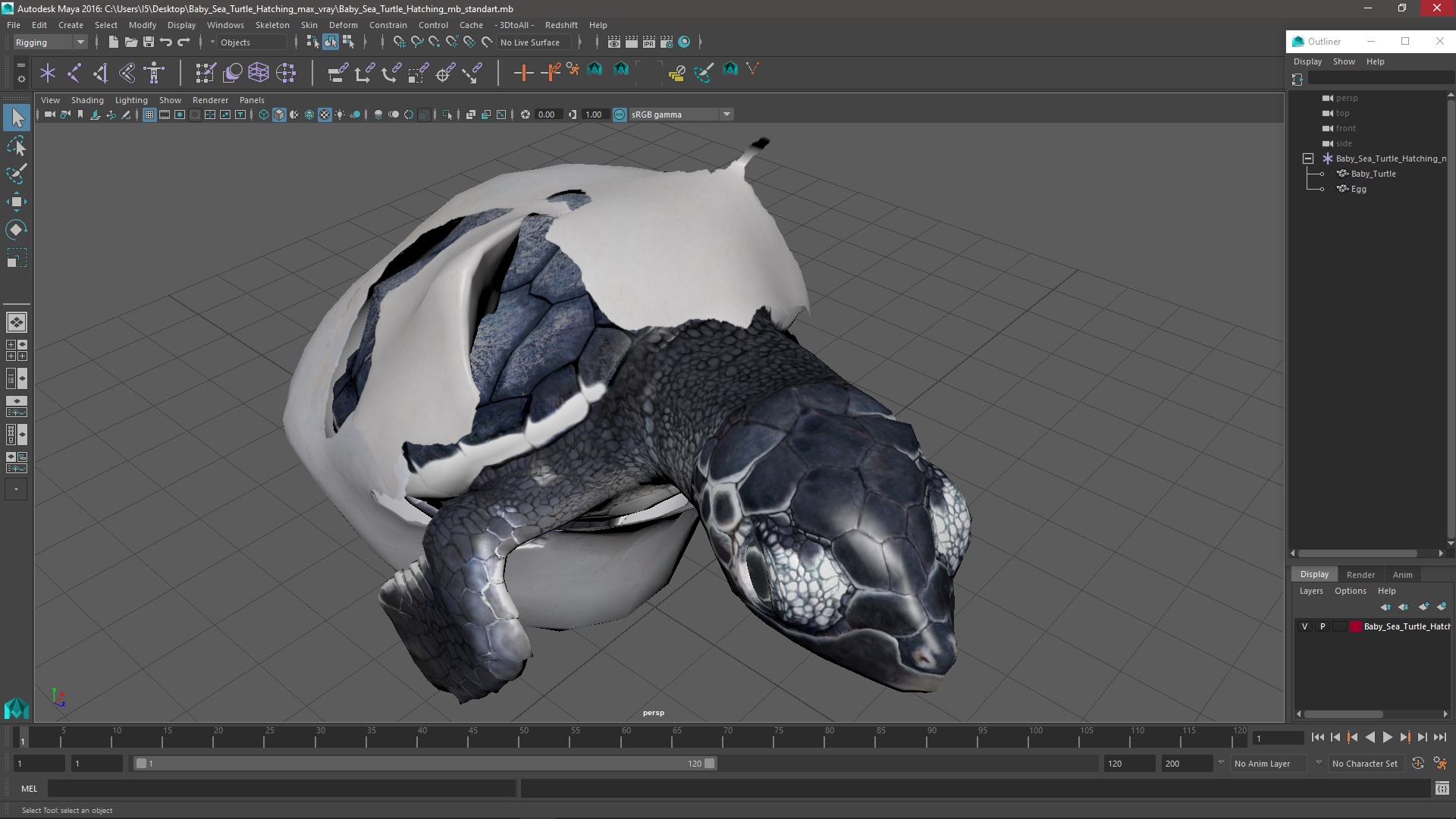 Baby Sea Turtle Hatching 3D model