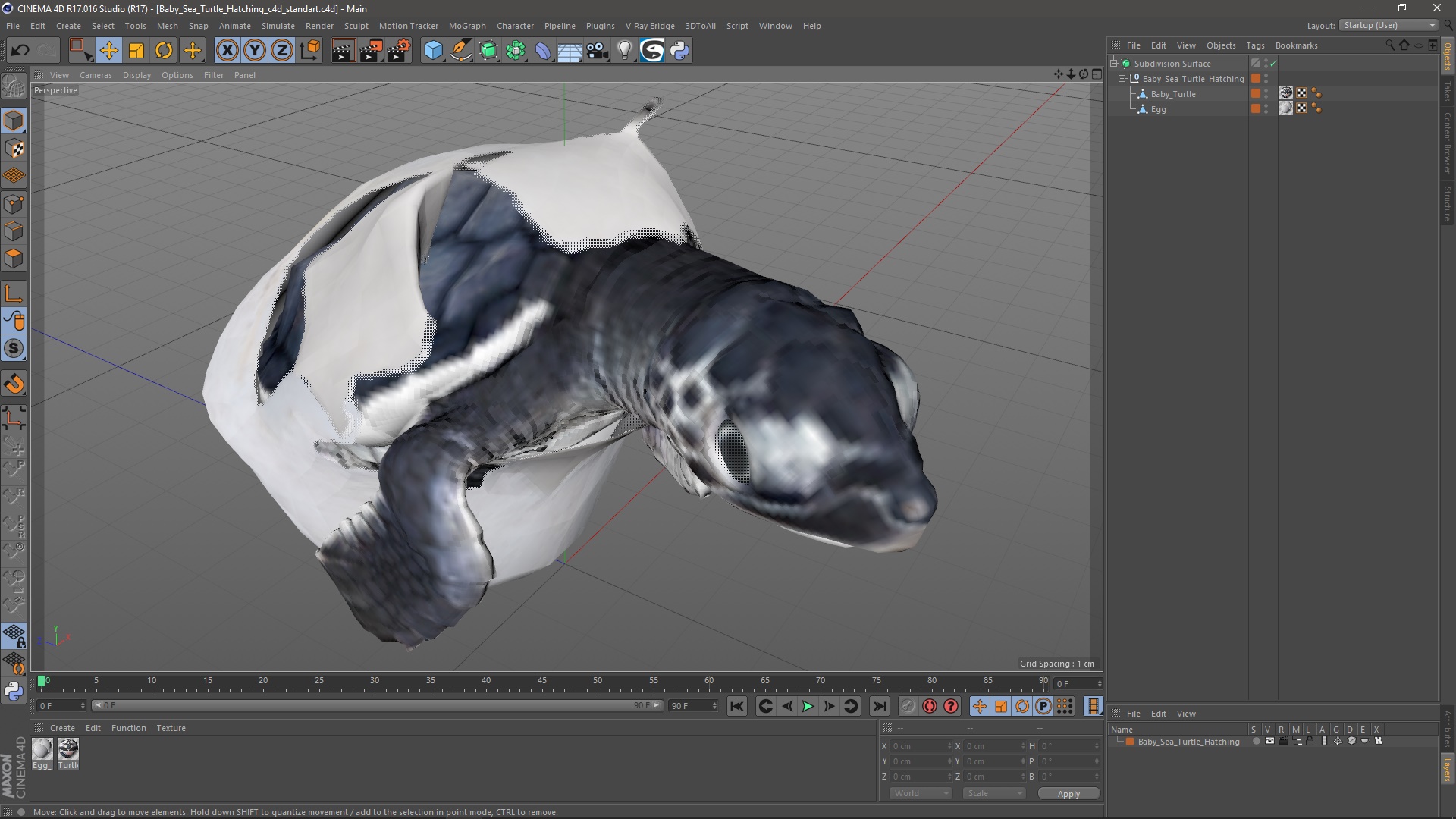 Baby Sea Turtle Hatching 3D model