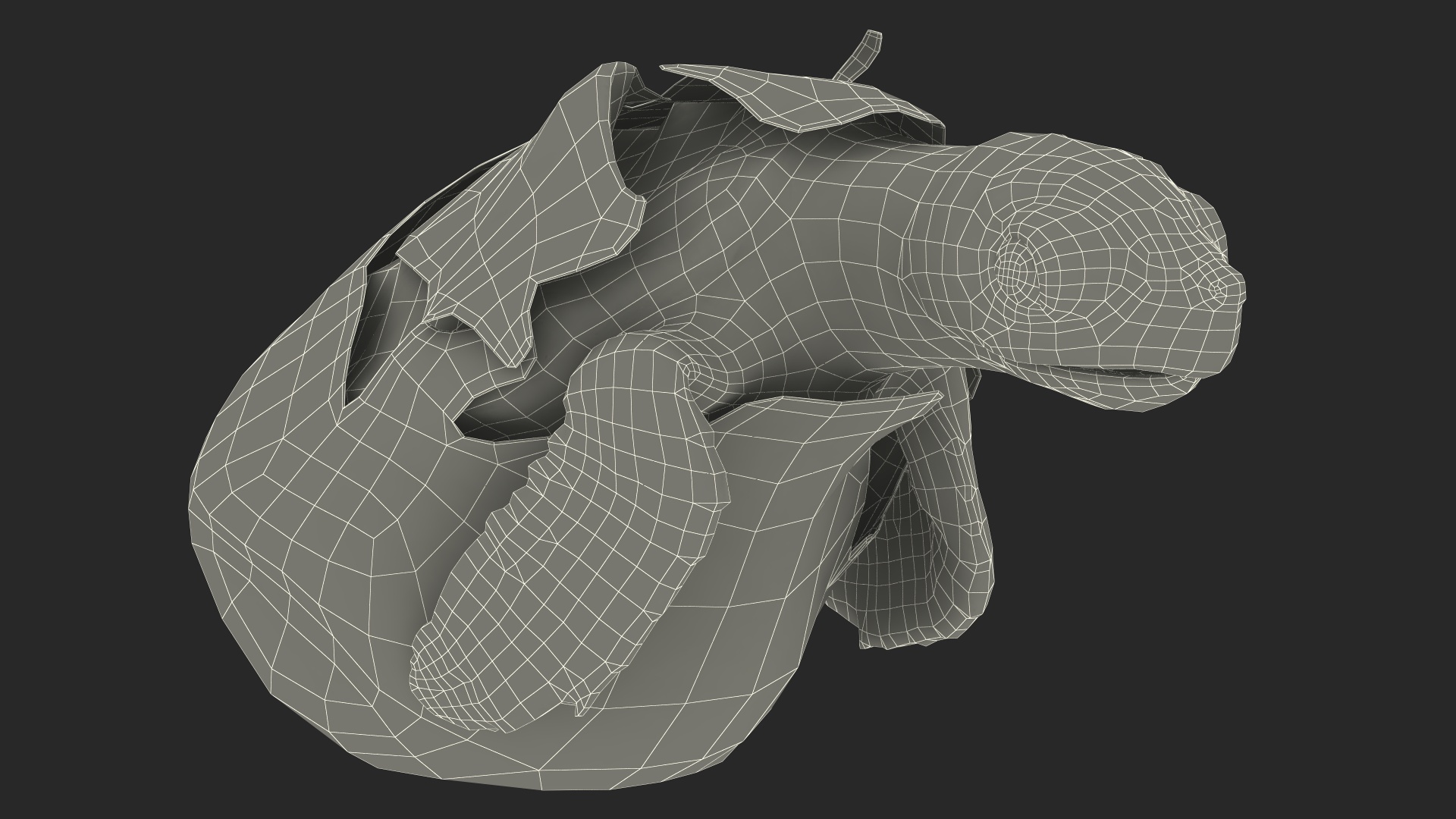 Baby Sea Turtle Hatching 3D model