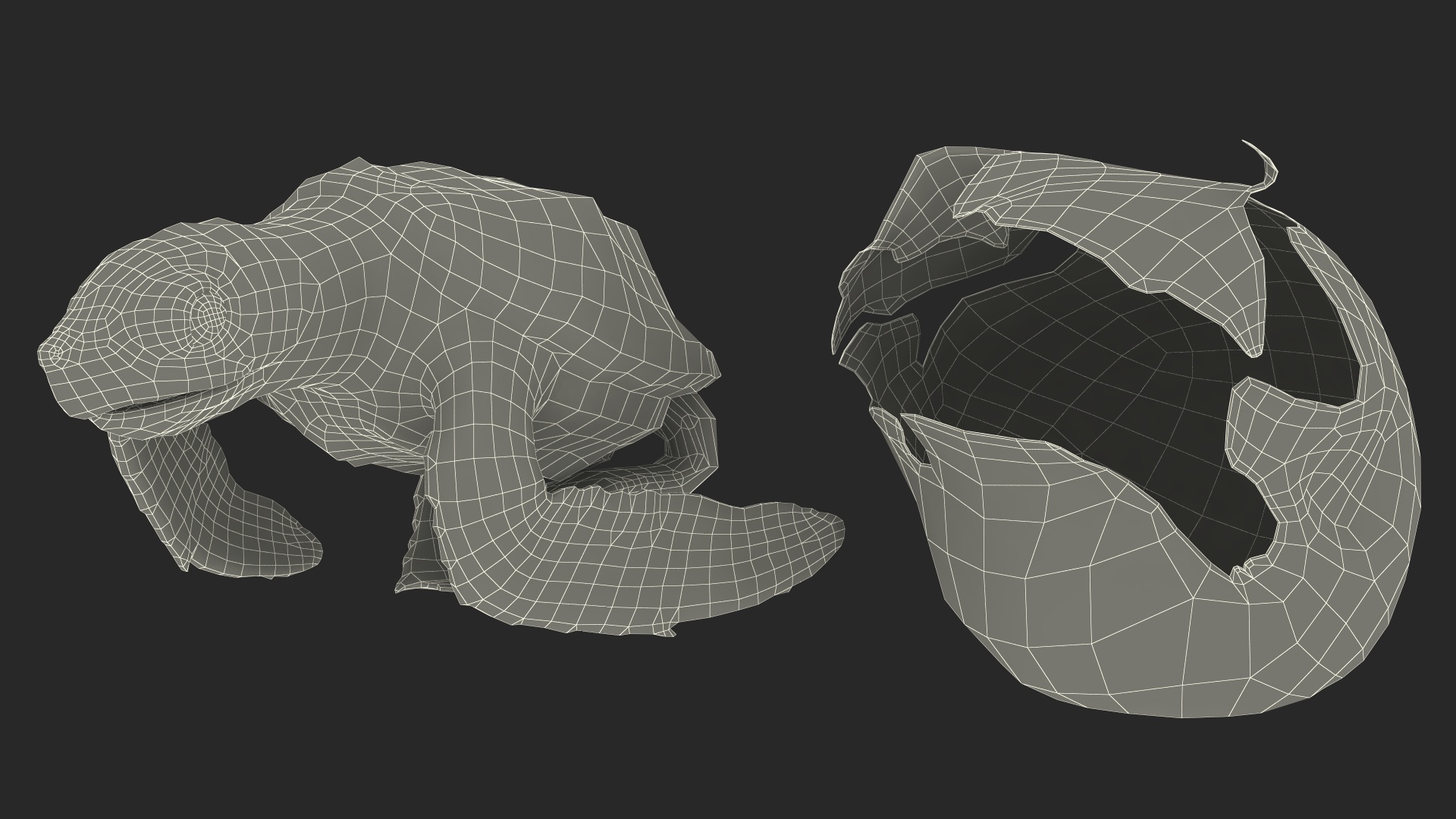 Baby Sea Turtle Hatching 3D model