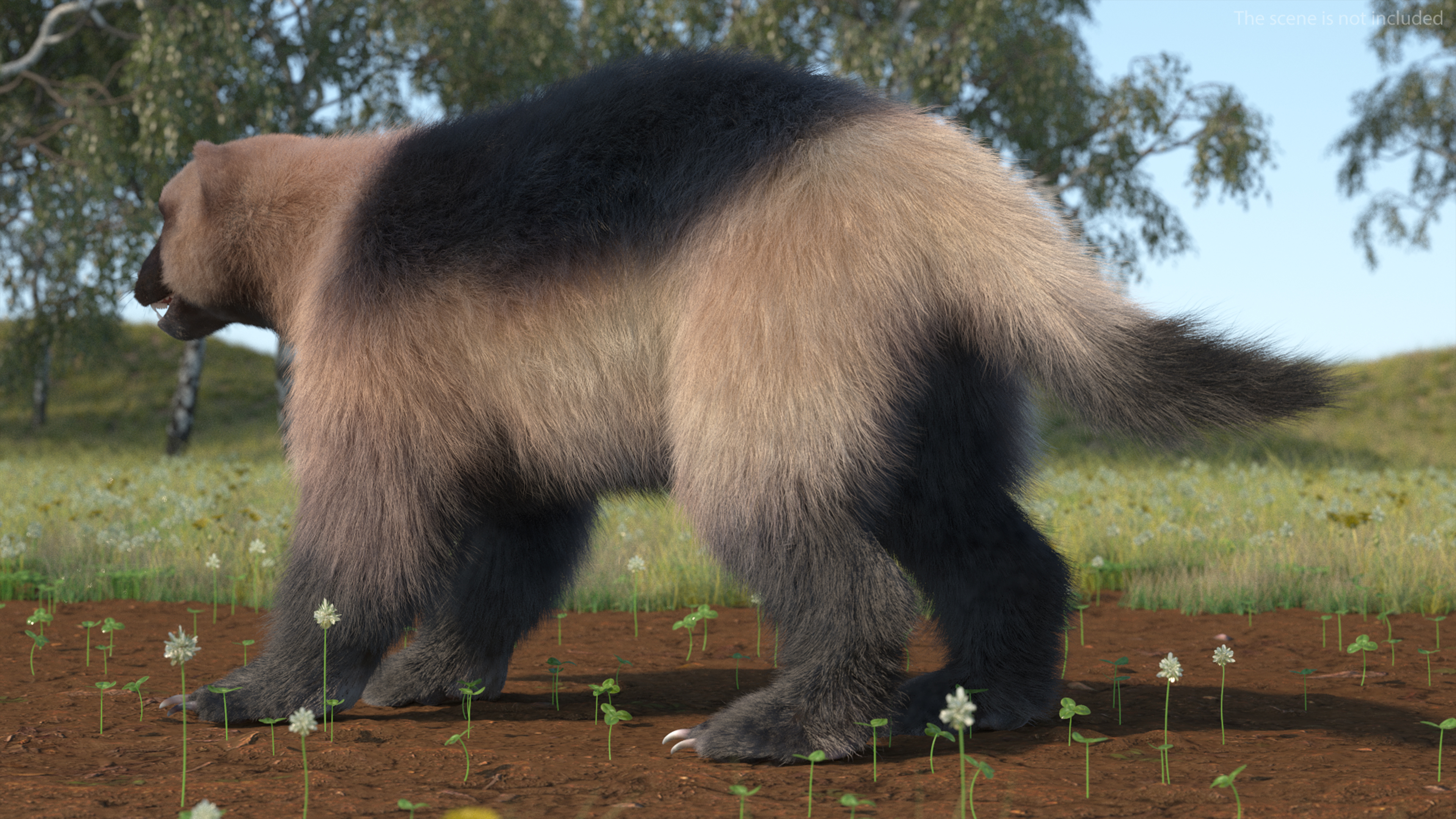 3D model Wolverine Light Color Fur