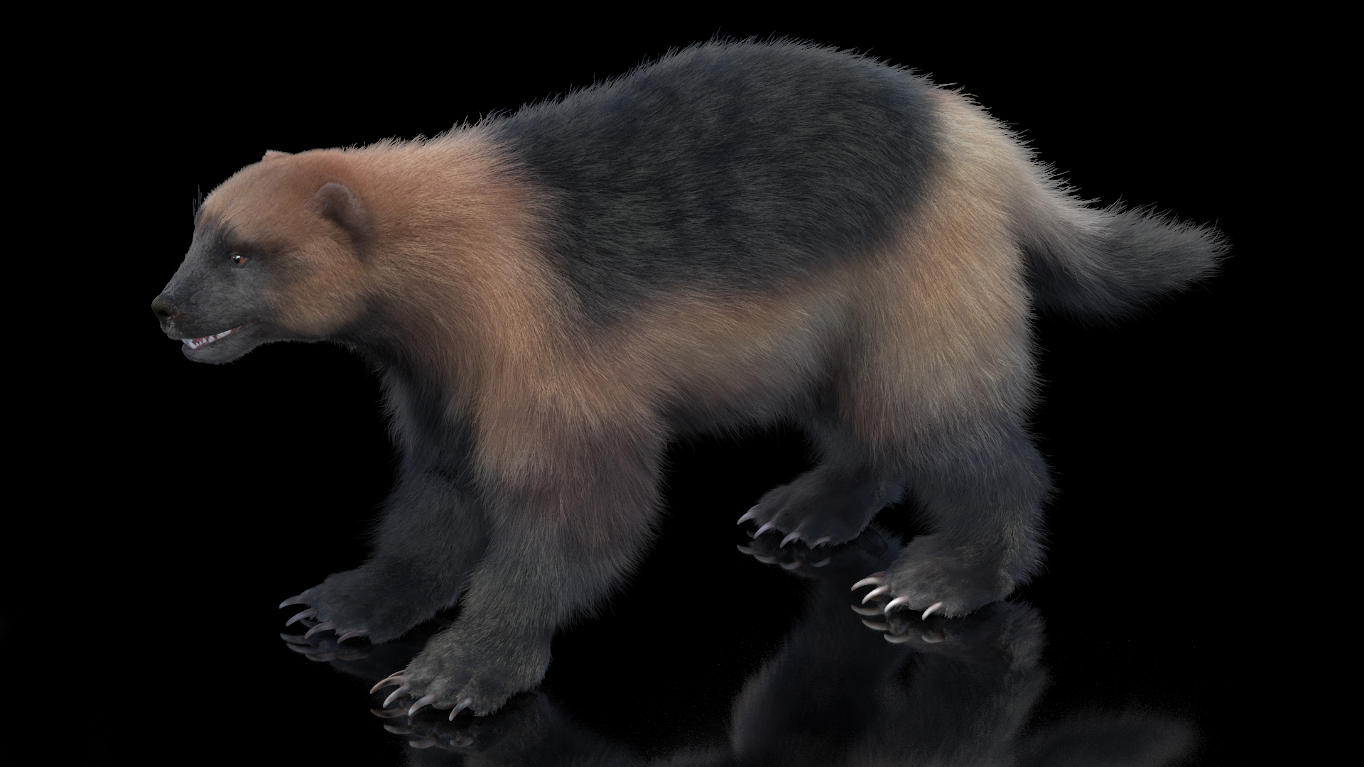 3D model Wolverine Light Color Fur