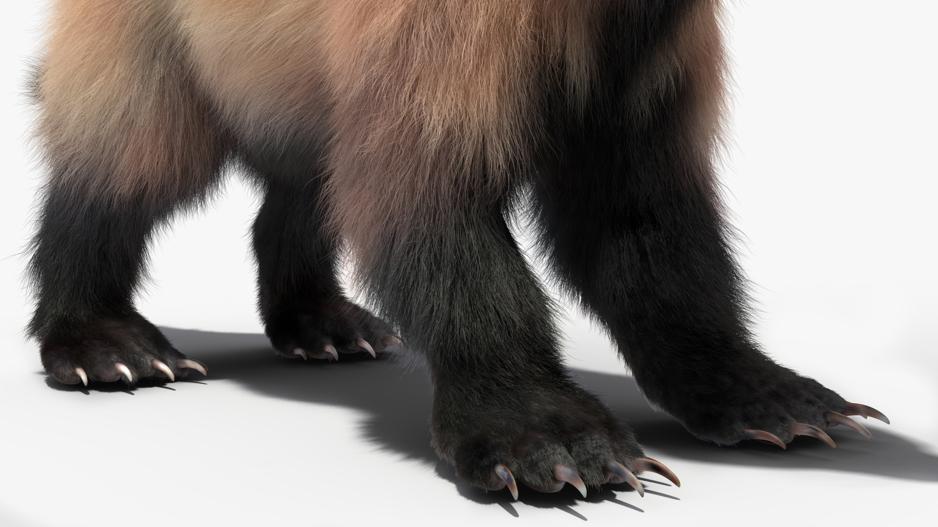 3D model Wolverine Light Color Fur