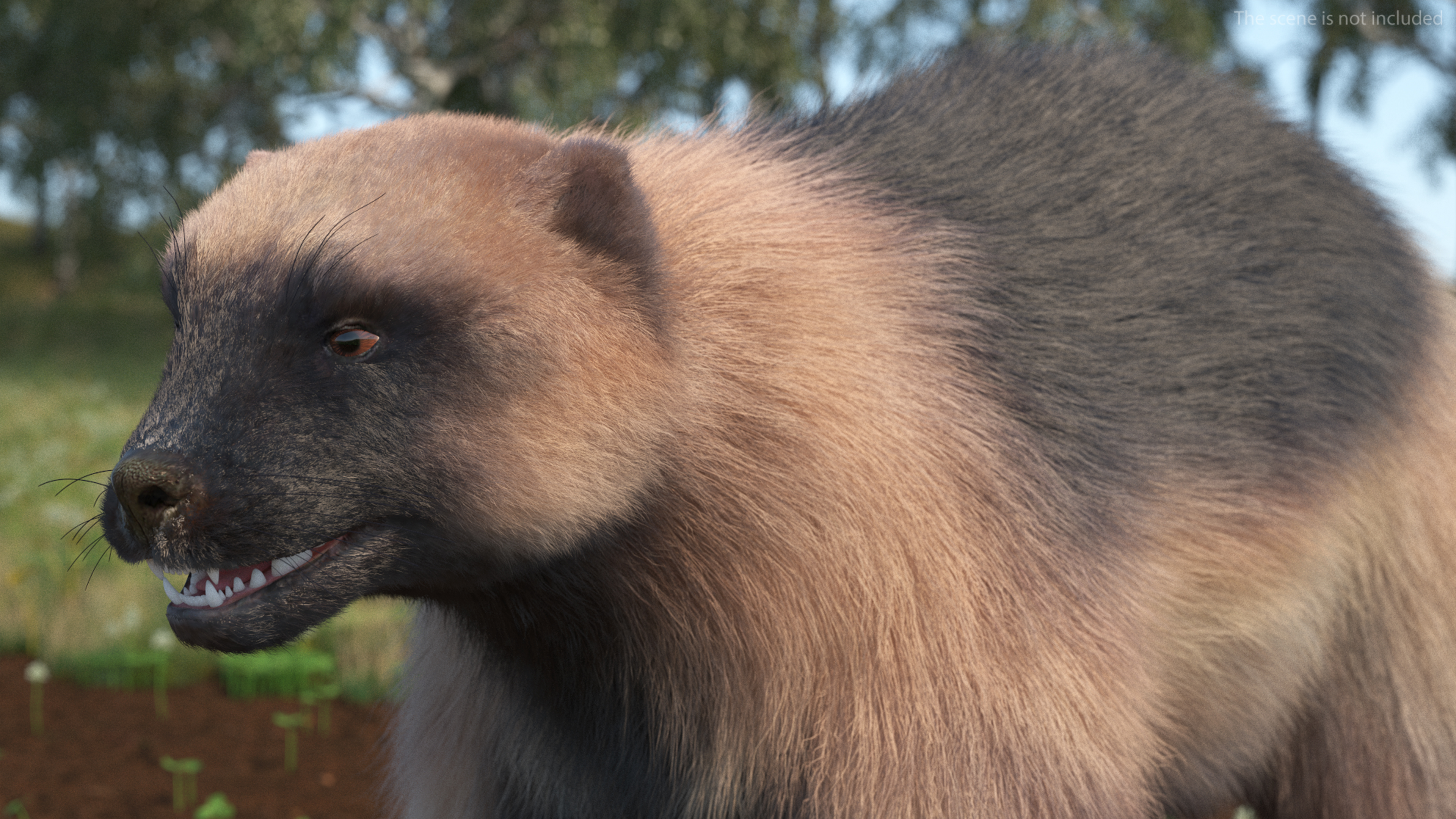 3D model Wolverine Light Color Fur