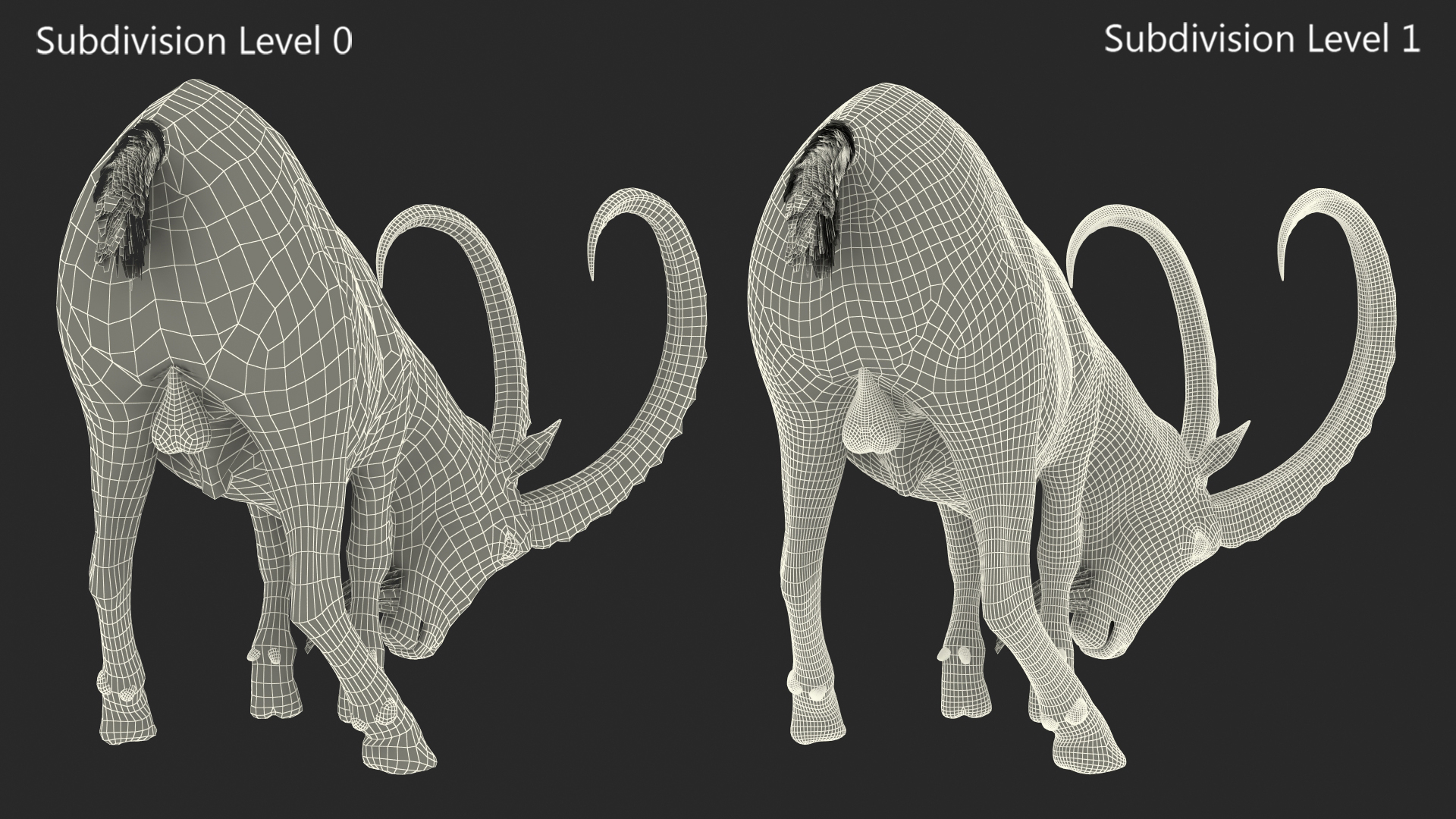 3D Alpine Ibex with Large Horns model
